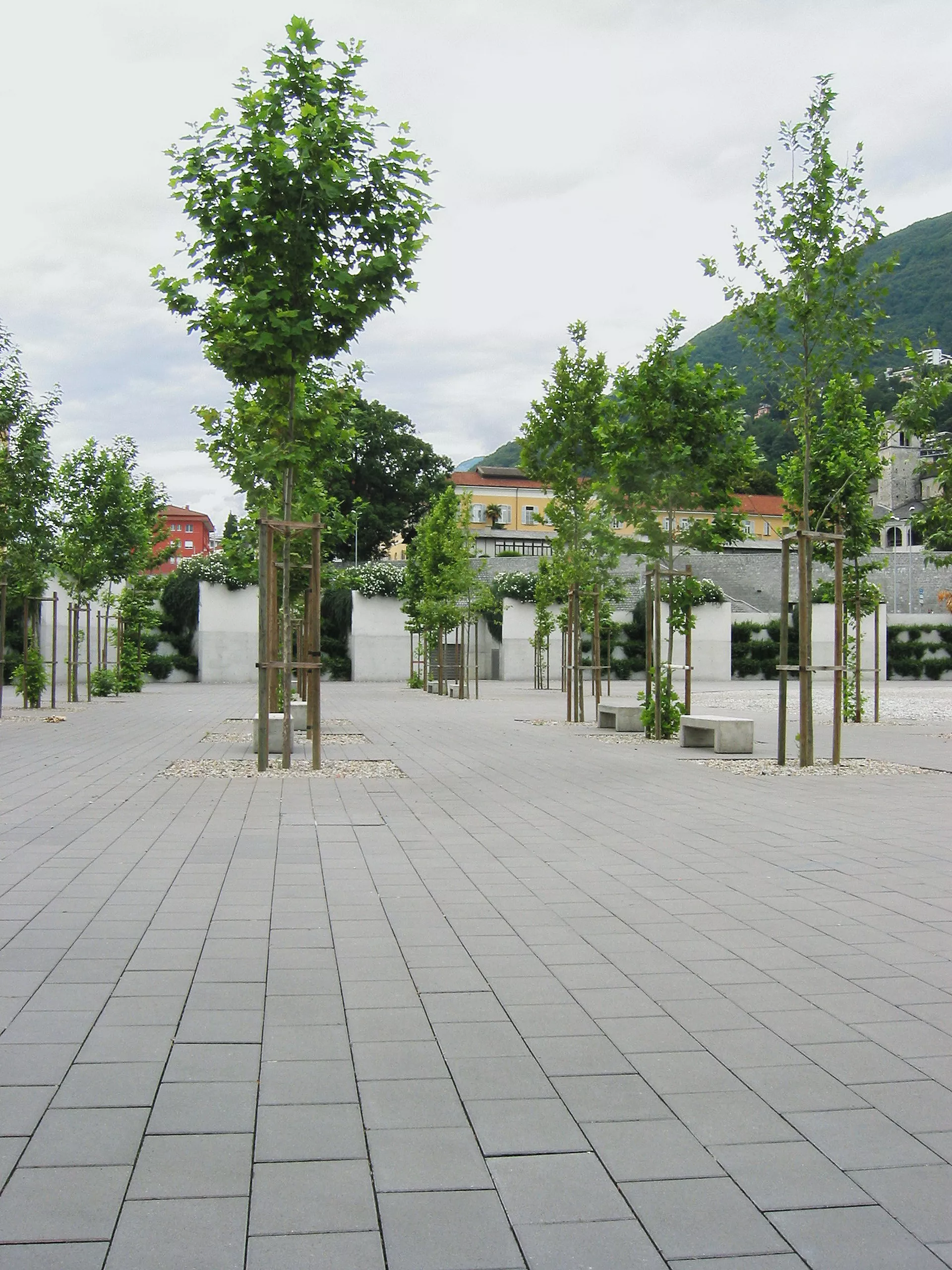 CARENA Pflasterstein mit Nockenverbund grau glatt gefast L 25 cm B 25 cm H 8 cm