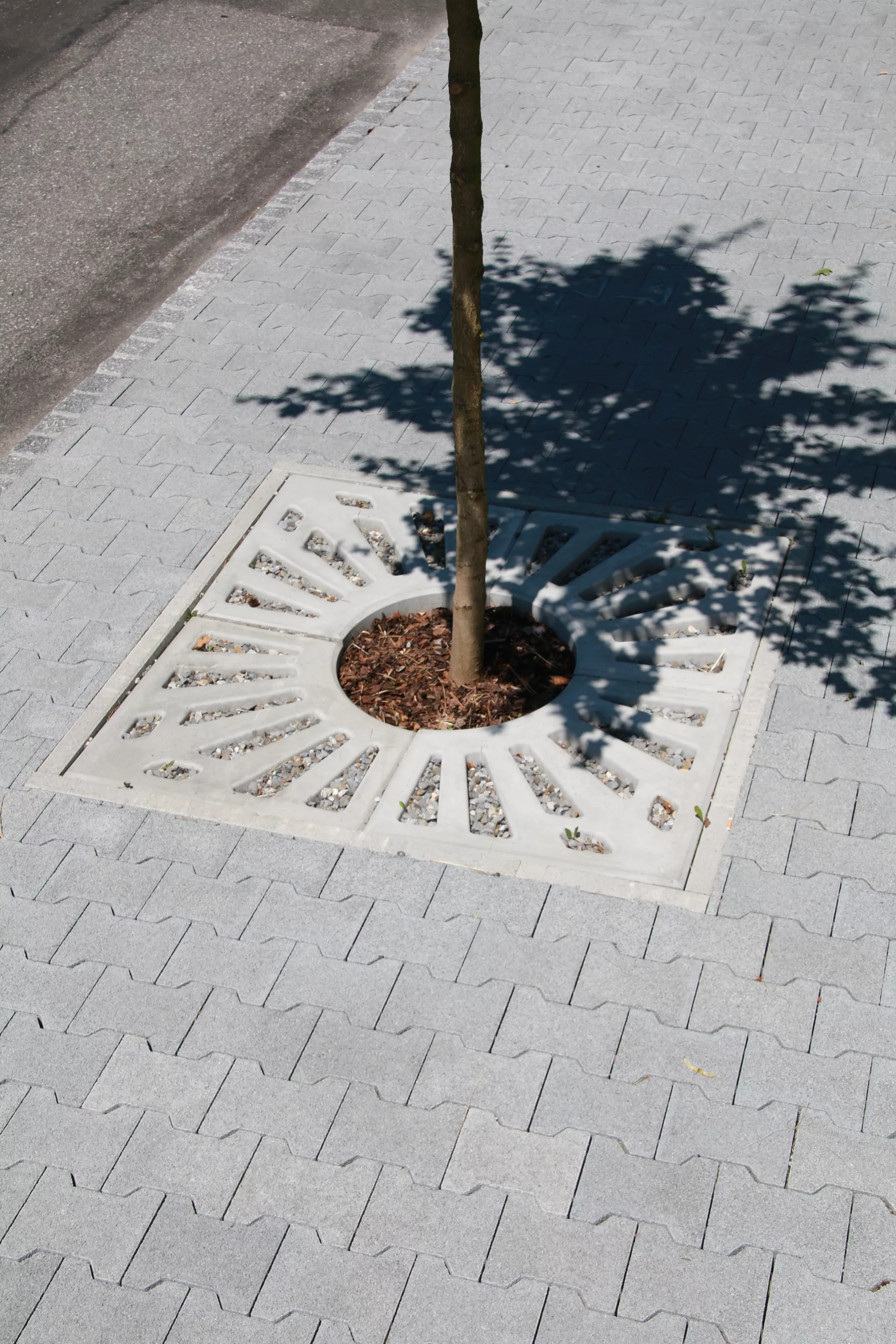 COMO Baumscheibe grau glatt gefast bewehrt geschlitzt mit Aussparung R 28 cm L 62.5 cm B 62.5 cm H 8 cm BK A 15