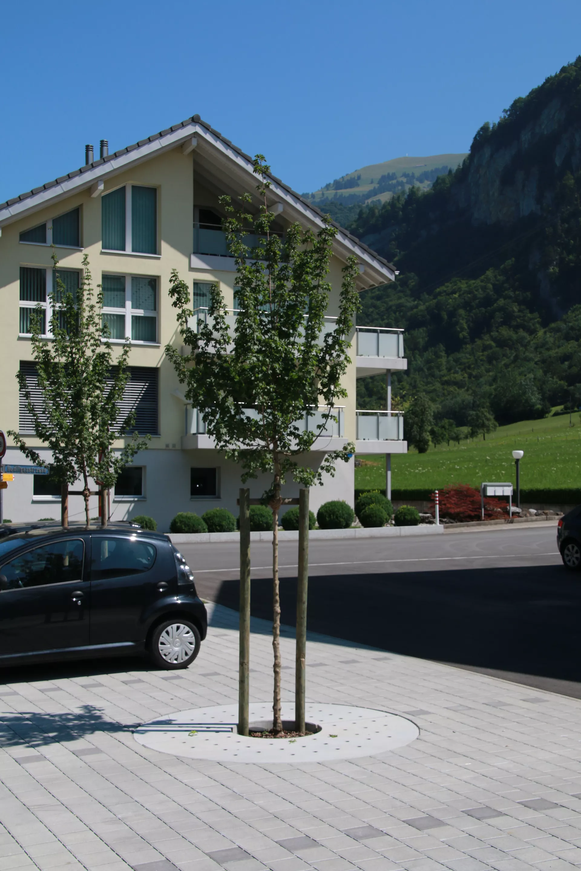 TREETUB Betondeckel 2-teilig mit Stammöffnung zentrisch D 220 cm H 12 cm