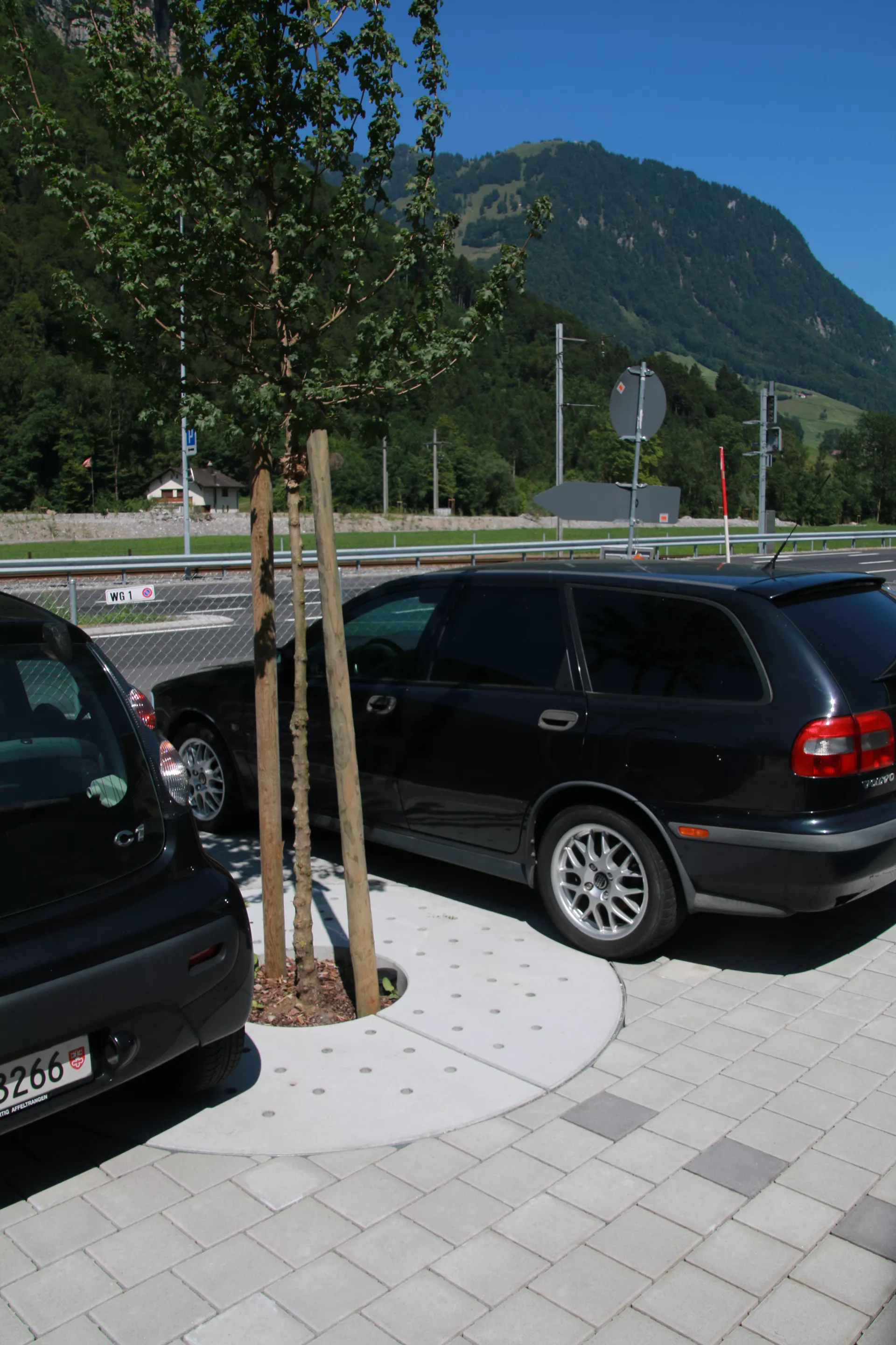 TREETUB Betondeckel 2-teilig mit Stammöffnung zentrisch D 220 cm H 12 cm