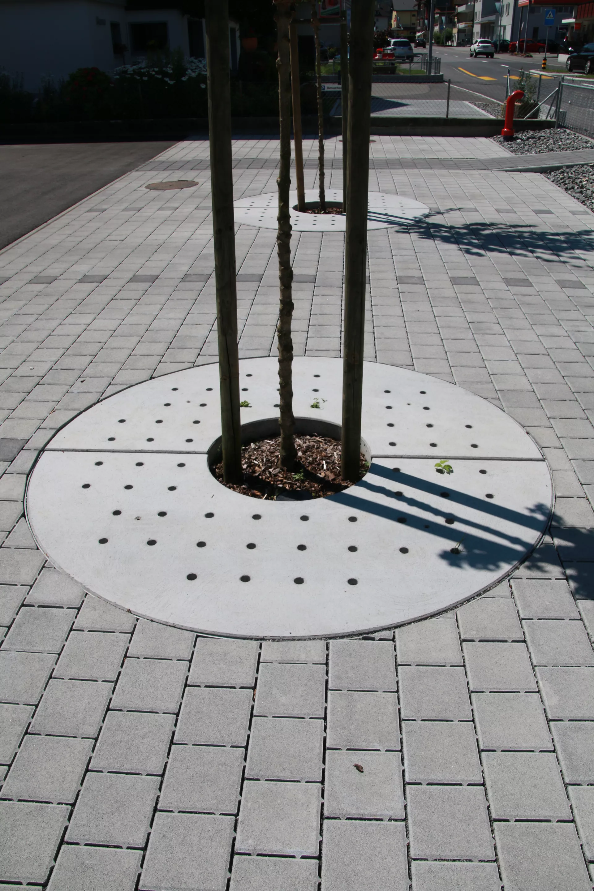 TREETUB Betondeckel 2-teilig mit Stammöffnung zentrisch D 220 cm H 12 cm