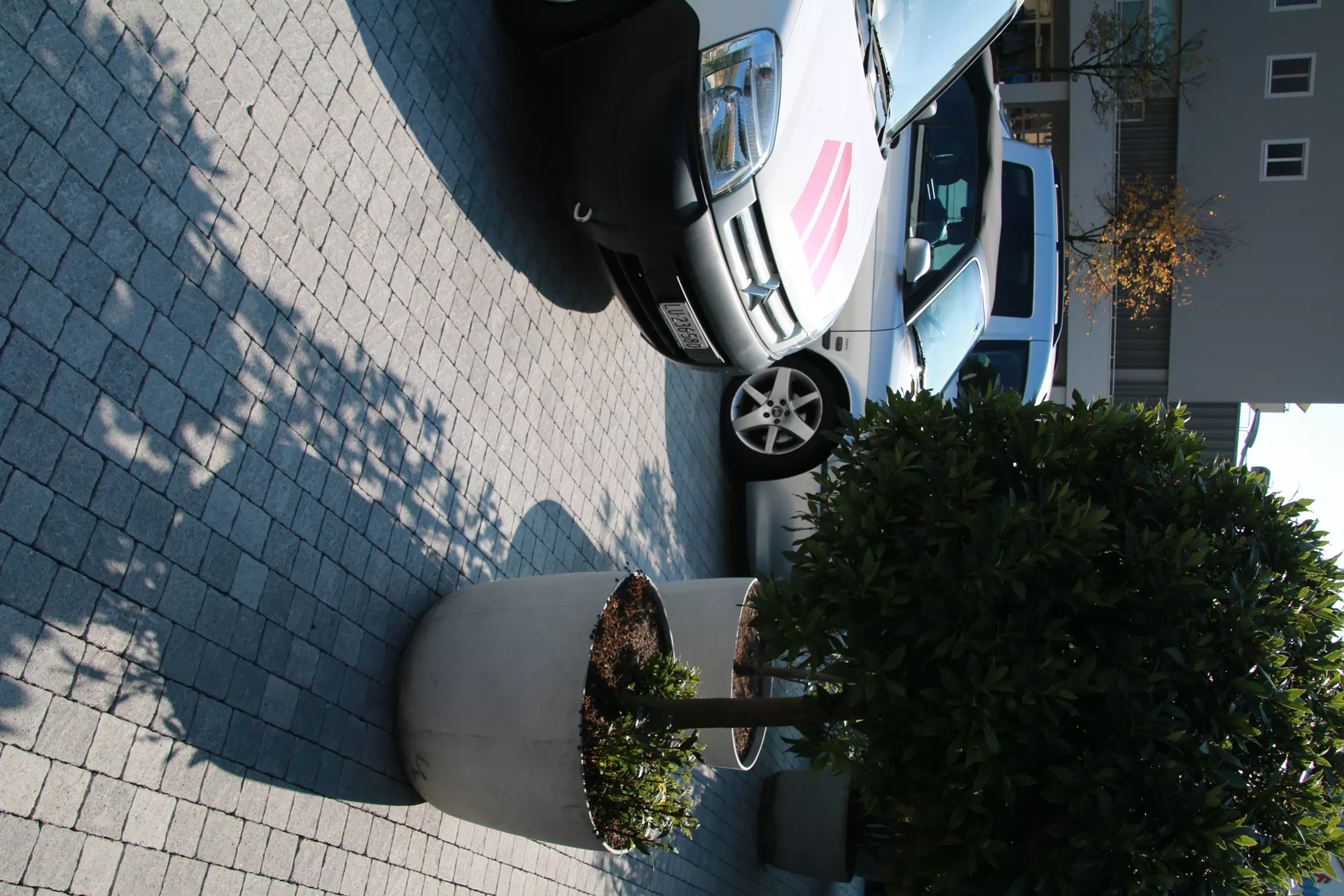 FRIEDA Pflasterstein perlgrau strukturiert Kanten gebr. L 8.8-11.8 cm B 9.8 cm H 7 cm