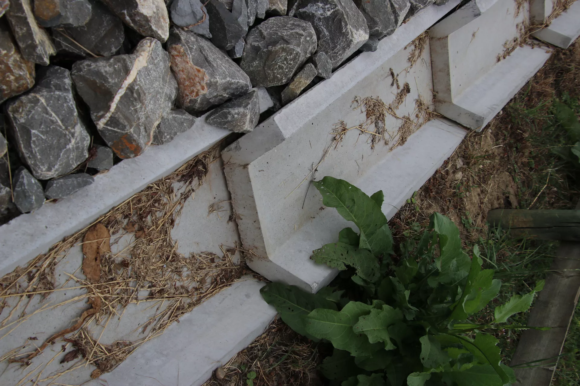 Wildbachschale bewehrt Sohlenbreite 20-28 cm L 100 cm B 38-46 cm H 15 cm