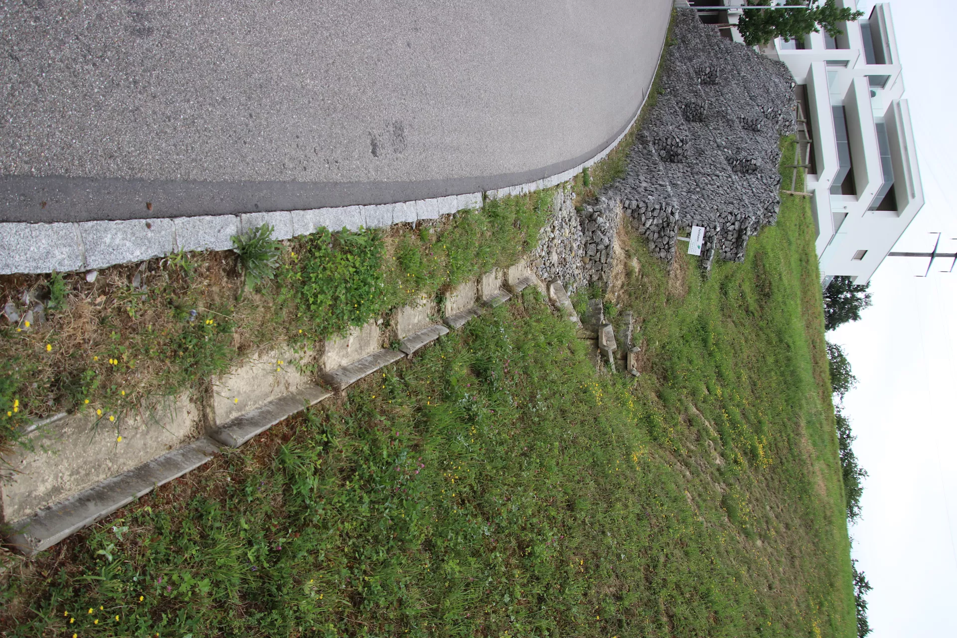 Wildbachschale bewehrt Sohlenbreite 20-28 cm L 100 cm B 38-46 cm H 15 cm