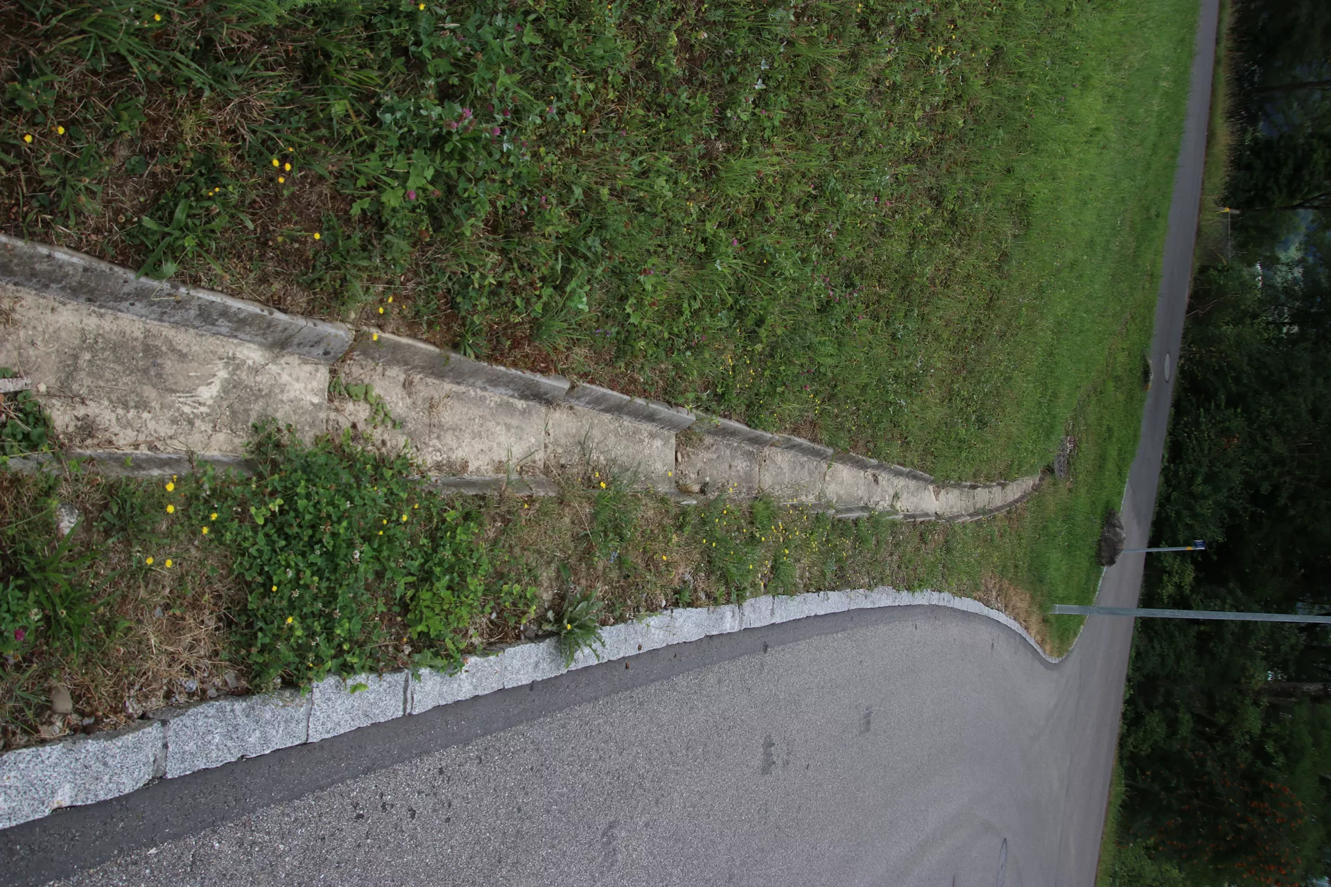 Wildbachschale bewehrt Sohlenbreite 20-28 cm L 100 cm B 38-46 cm H 15 cm