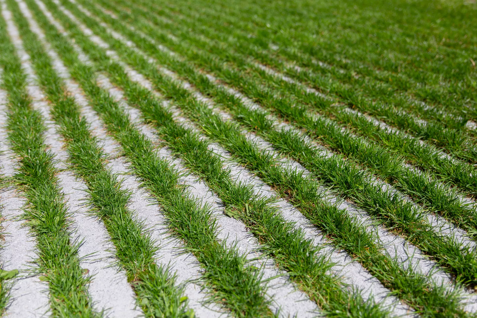 RAINA Rasenliner mit Verschiebesicherung grau glatt L 60 cm B 40 cm H 10 cm