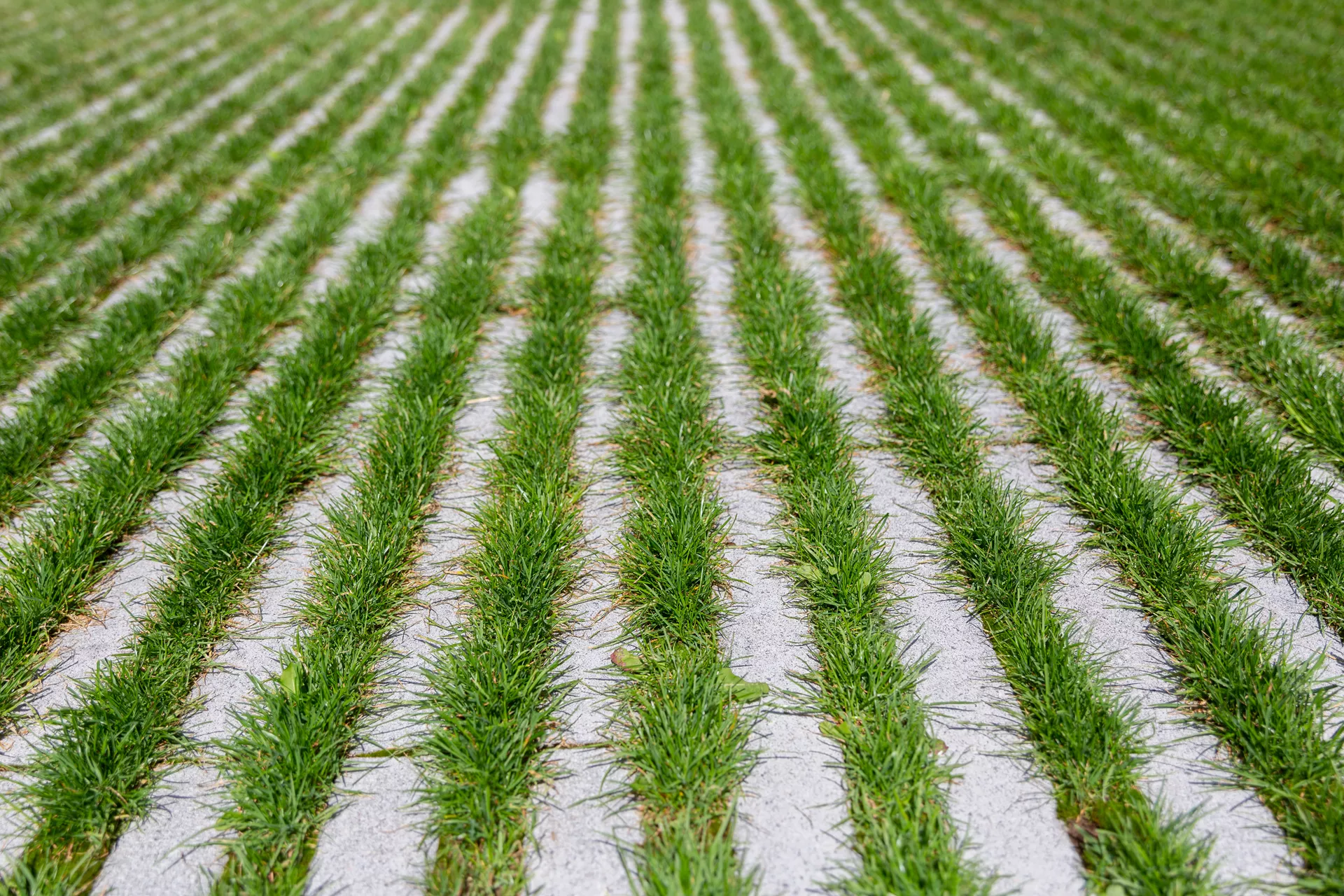 RAINA Rasenliner mit Verschiebesicherung grau glatt L 60 cm B 40 cm H 10 cm