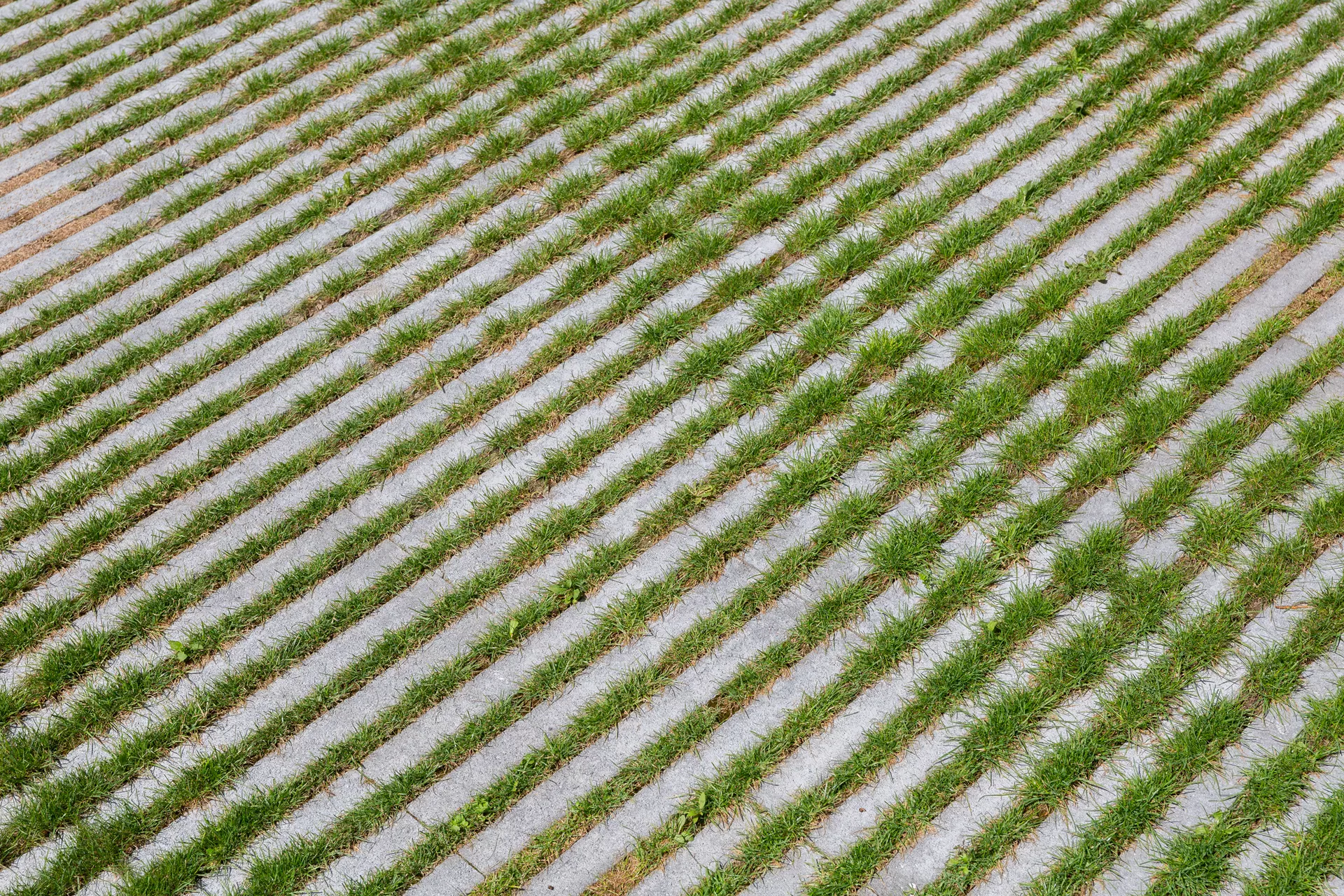 RAINA Rasenliner mit Verschiebesicherung grau glatt L 60 cm B 40 cm H 10 cm