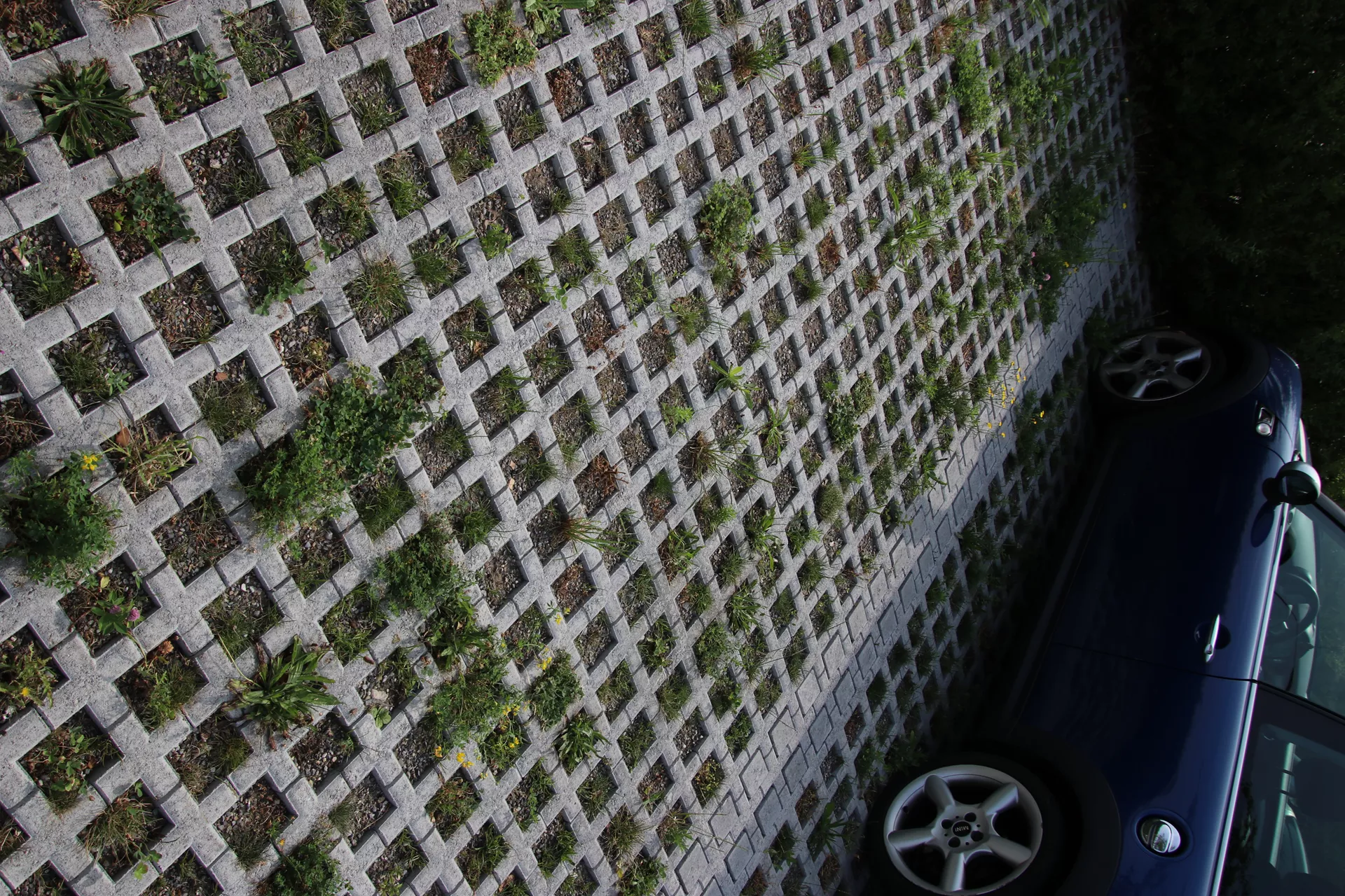 QUADRO Rasengitterstein grau L 58 cm B 47 cm H 10 cm