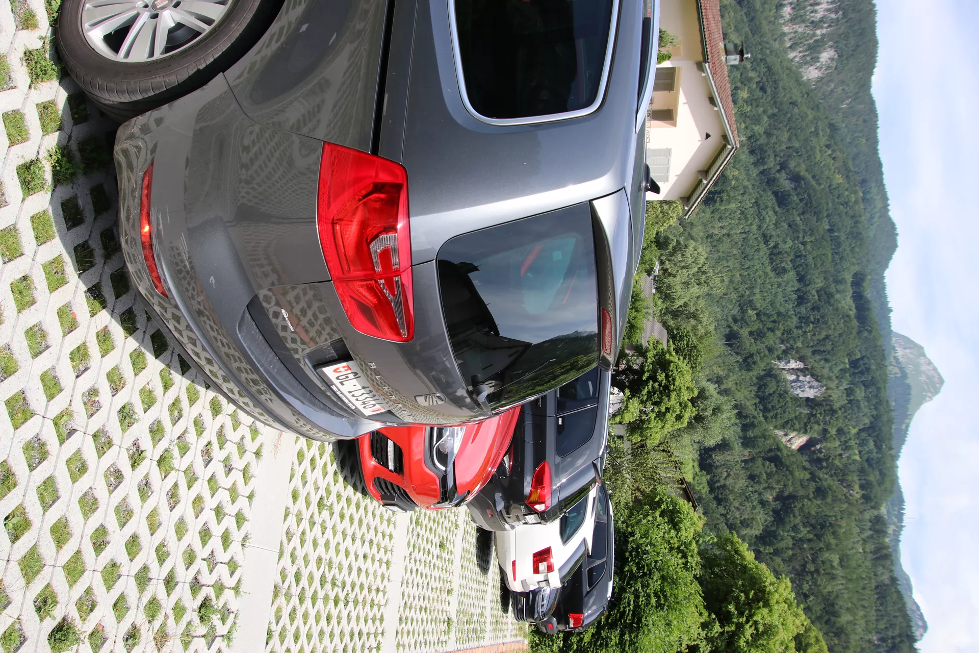 GRISON Rasengitterstein mit Nocken grau glatt L 60.2 cm B 40.2 cm H 8 cm