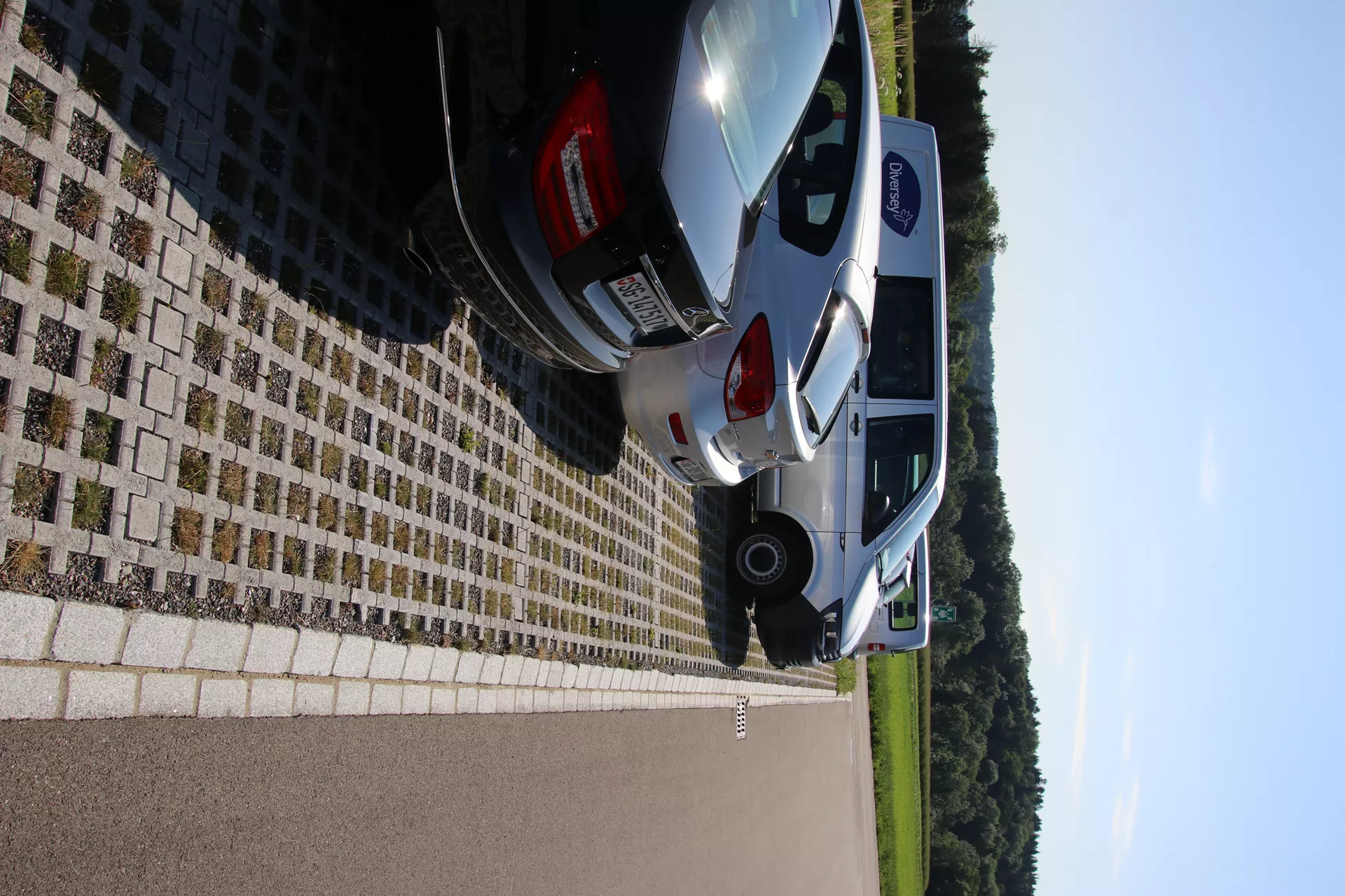 QUADRO Rasengitterstein grau L 58 cm B 47 cm H 10 cm