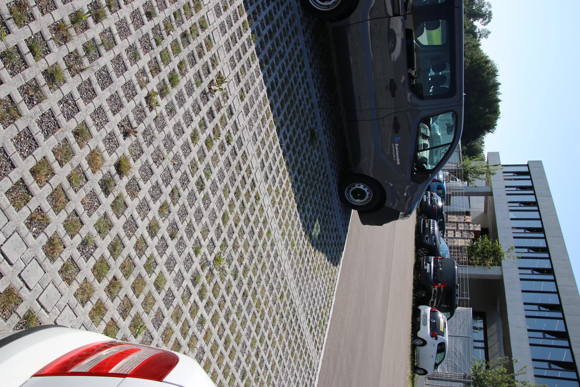 QUADRO Rasengitterstein grau L 58 cm B 47 cm H 10 cm