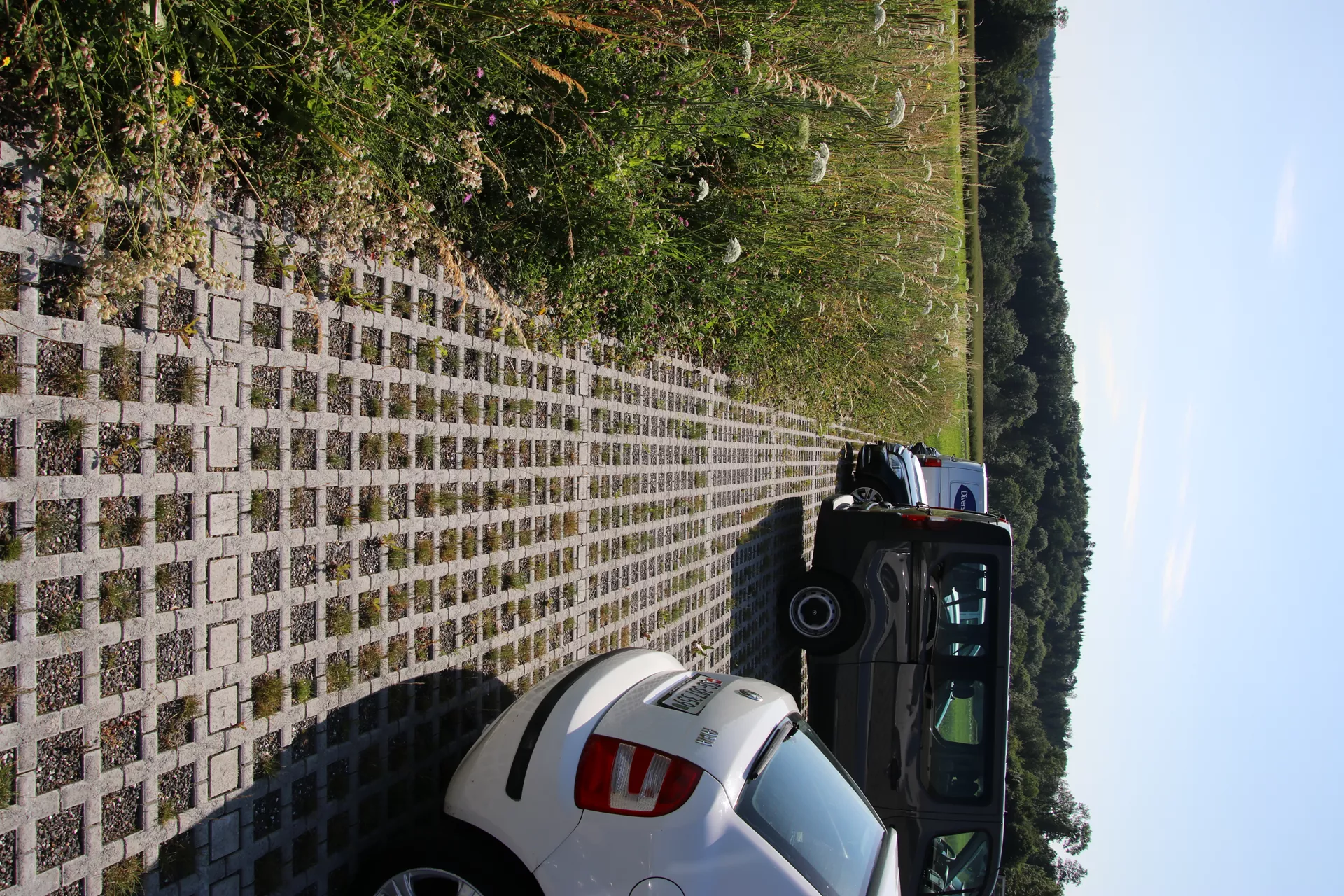 QUADRO Rasengitterstein grau L 58 cm B 47 cm H 10 cm