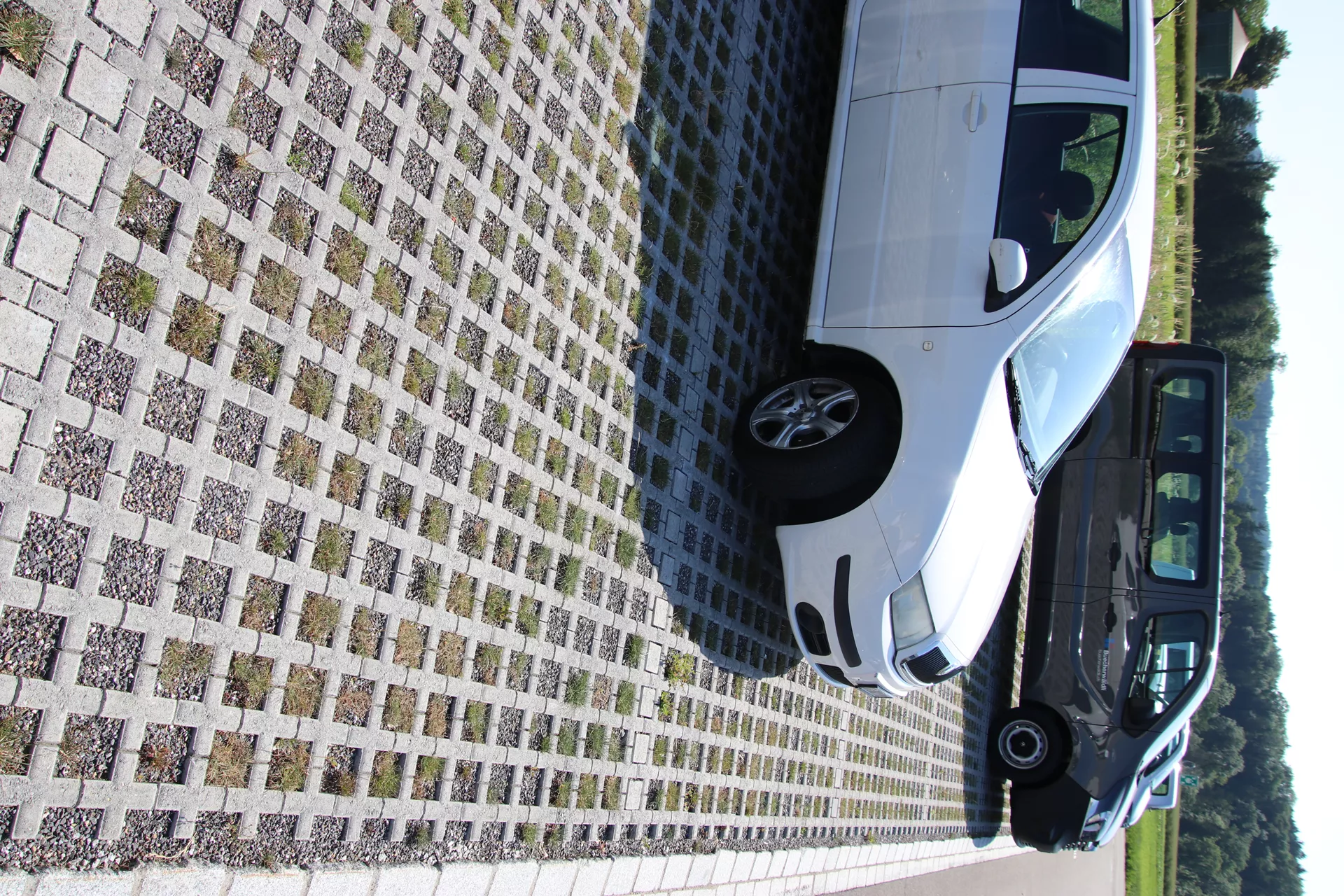 QUADRO Rasengitterstein grau L 58 cm B 47 cm H 10 cm