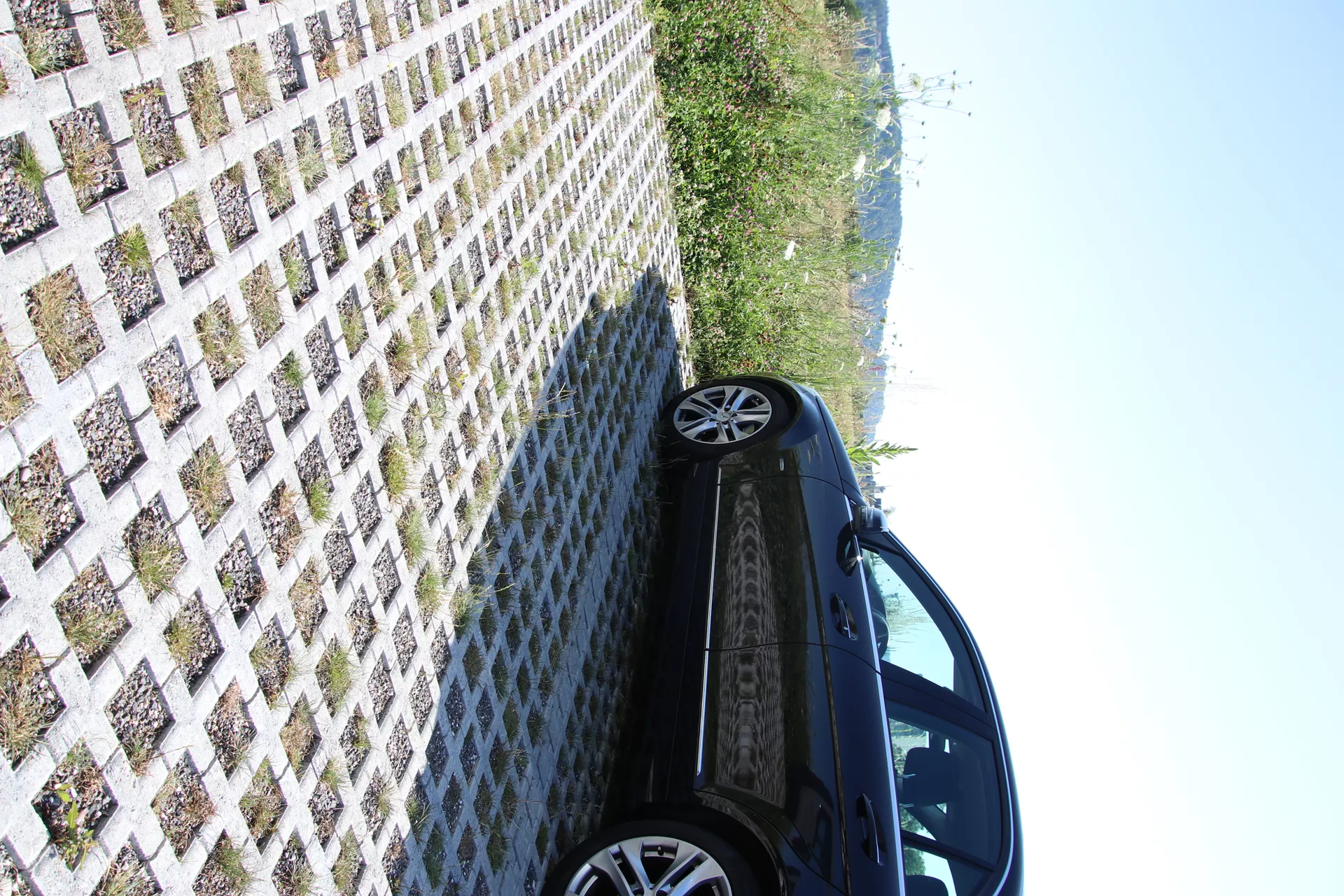 QUADRO Rasengitterstein grau L 58 cm B 47 cm H 10 cm