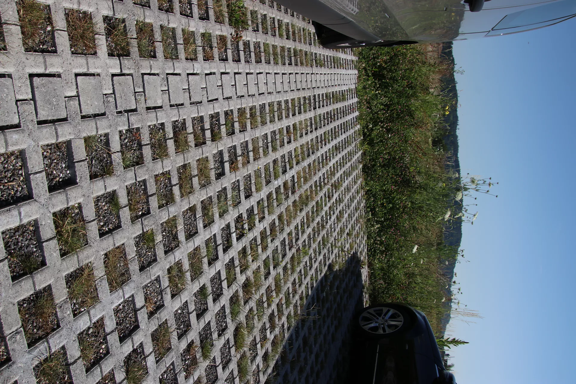 QUADRO Rasengitterstein grau L 58 cm B 47 cm H 10 cm