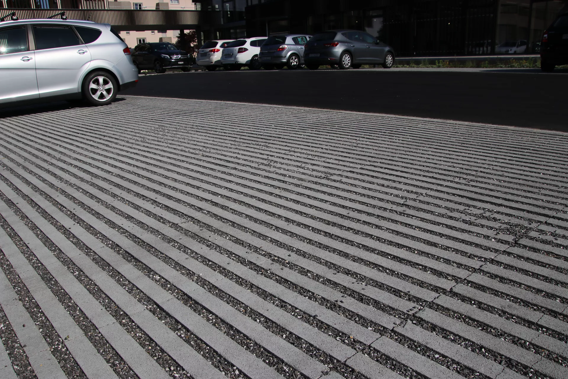 RAINA Rasenliner mit Verschiebesicherung grau glatt L 60 cm B 40 cm H 10 cm