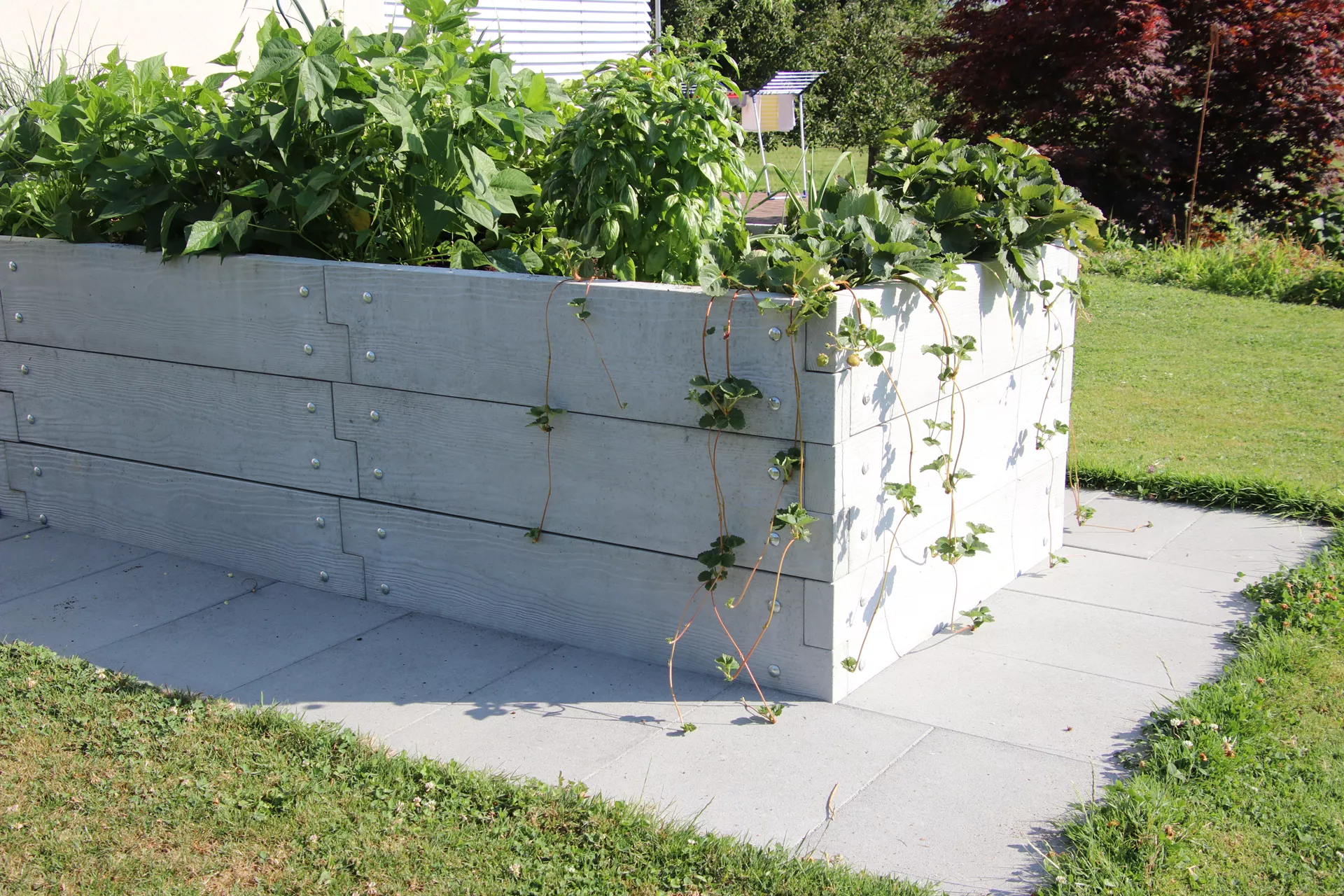 Einzelbrett zu Hochbeet mit Holzstruktur naturgrau strukturiert leicht gefast bewehrt L 120 cm H 25 cm W 6 cm