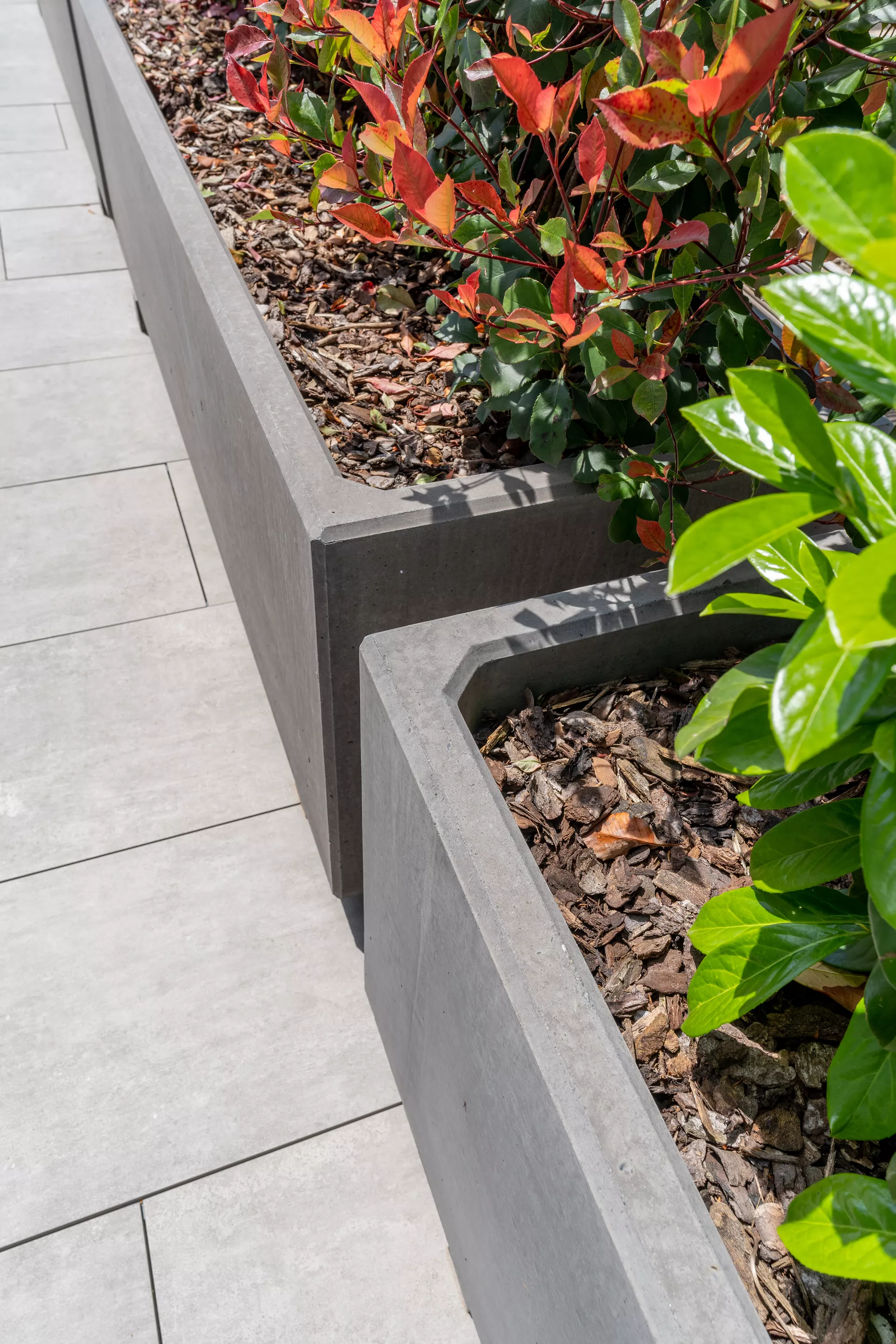 PARCO Pflanzentrog rechteckig anthrazit glatt L 150 cm B 50 cm H 50 cm W 5 cm