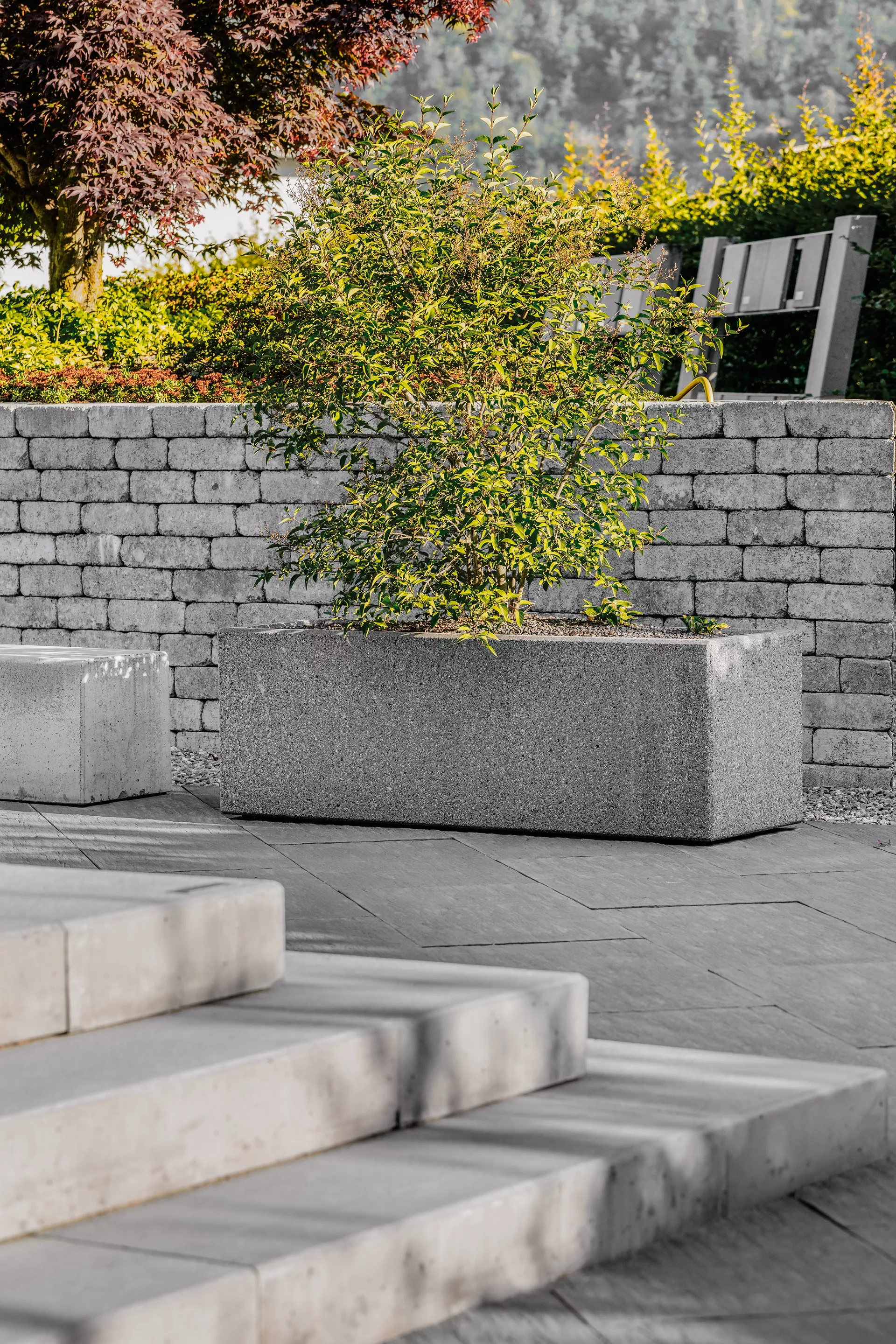 RESIDENZA Pflanzentrog rechteckig LEVENTINA grau gestrahlt L 50 cm B 50 cm H 50 cm W 5 cm