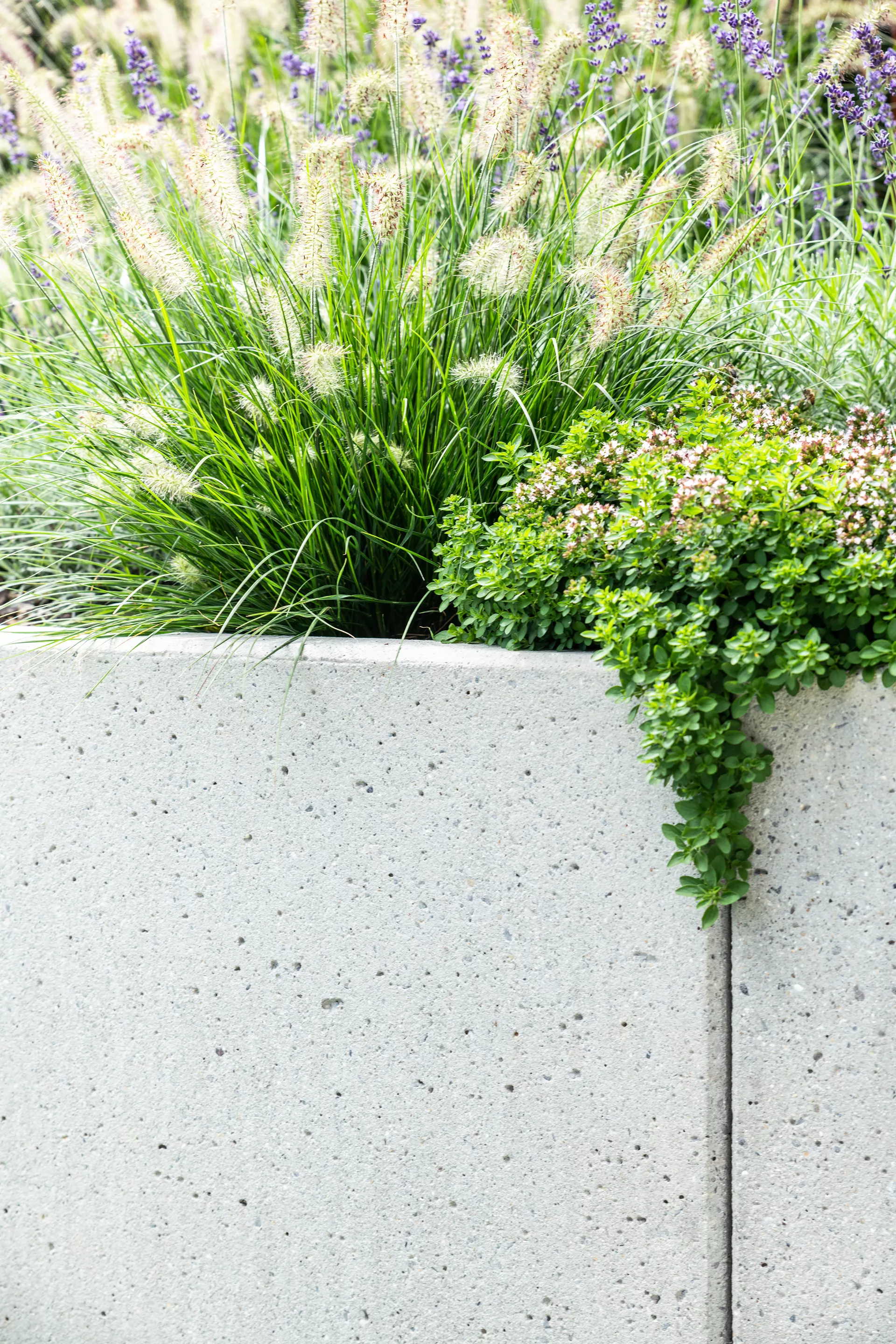 ROZTEC Winkelplatten Typ Midi bewehrt grau gestrahlt gefast L 100 cm B 60 cm H 100 cm W 9 cm