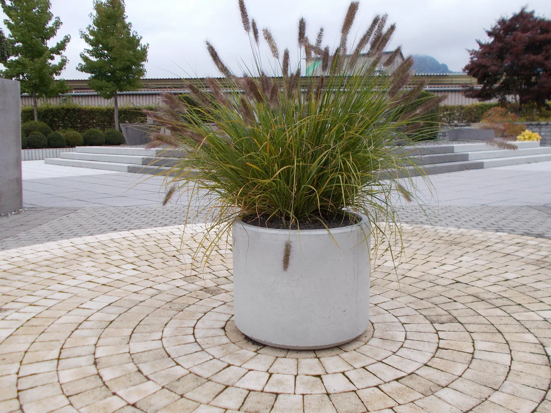 PARCO Pflanzentrog rund grau glatt OD 50 cm H 40 cm W 4 cm R 25 cm