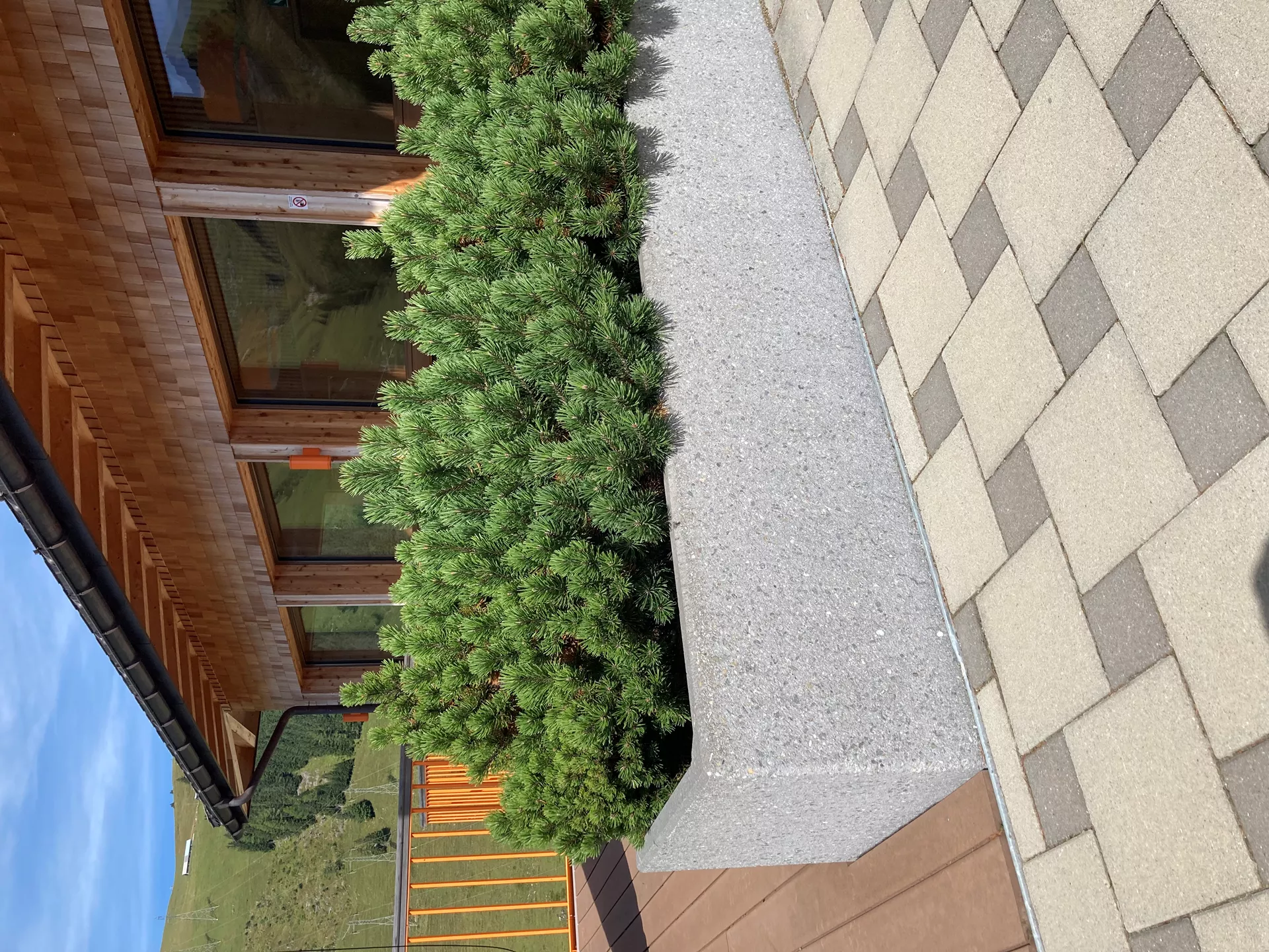 PARCO Pflanzentrog rechteckig grau gestrahlt L 200 cm B 50 cm H 50 cm W 5 cm