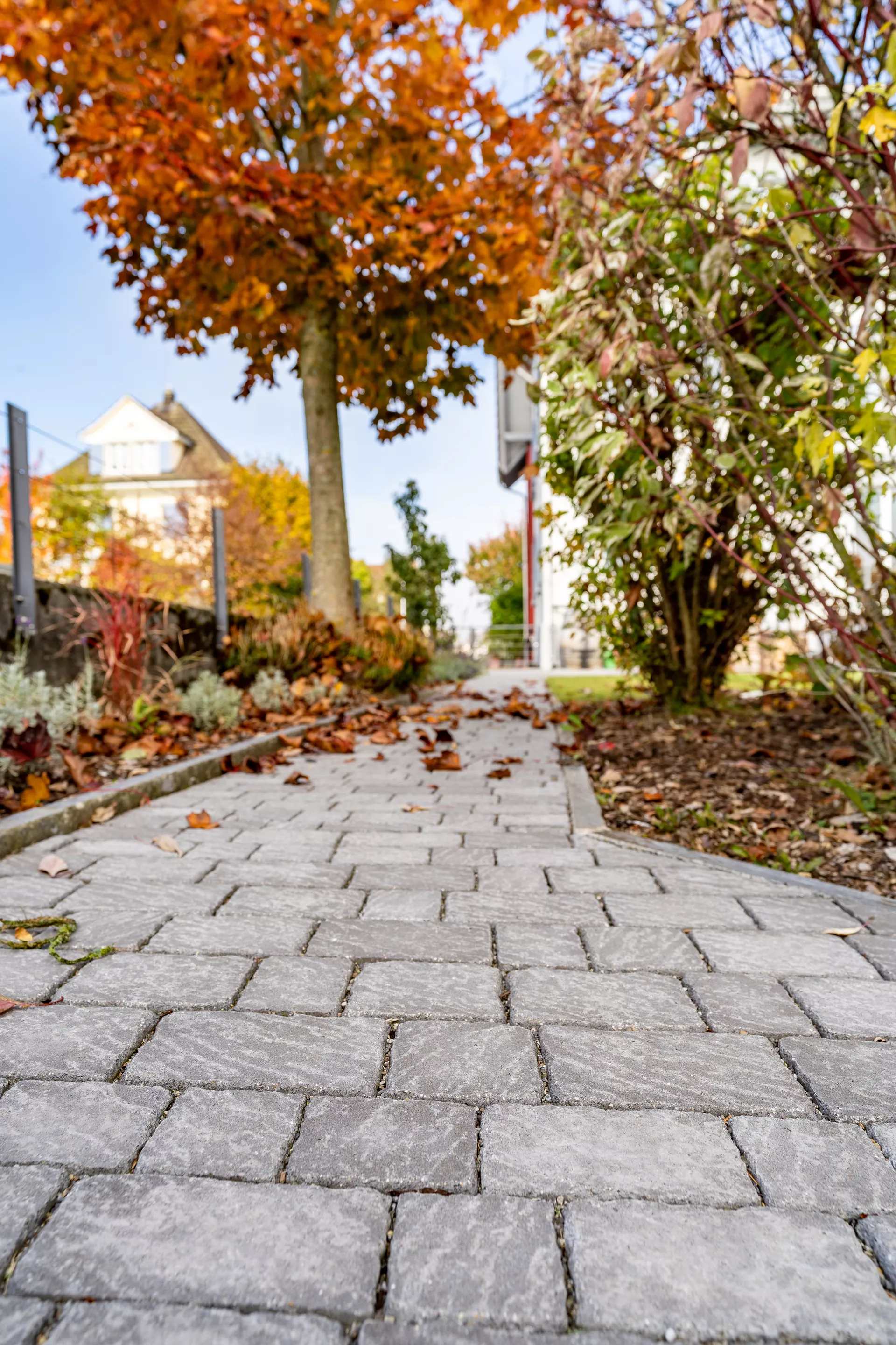 FRIEDA Wildpflaster perlgrau strukturiert Kanten gebr. L 9.4-19.4 cm B 9.4-11.9 cm H 7 cm