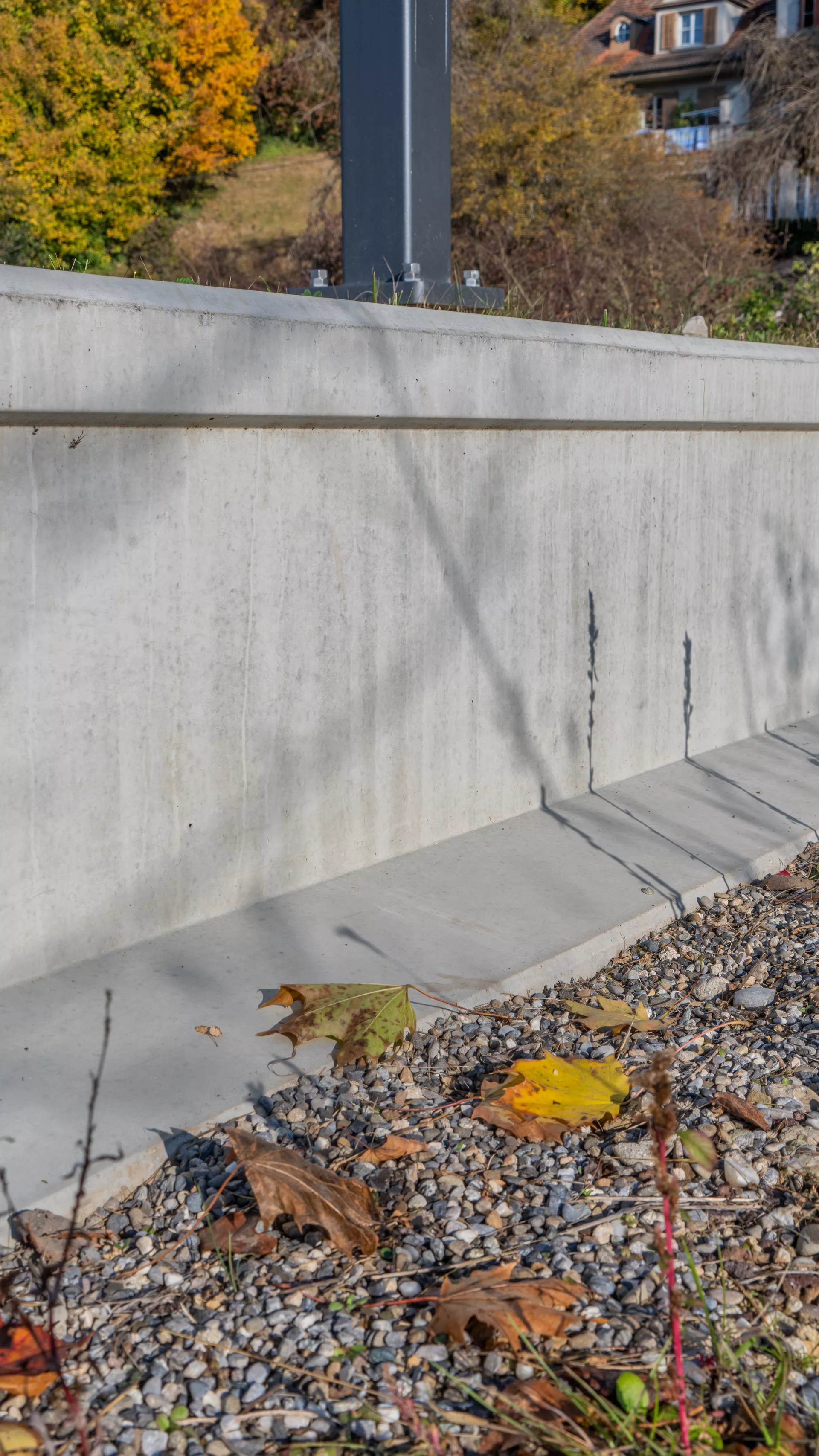 Amphibienleitsystemelement mit Klettersperre und Elementverbund bewehrt gefast grau L 300 cm B 50 cm H 55 cm W 8 cm