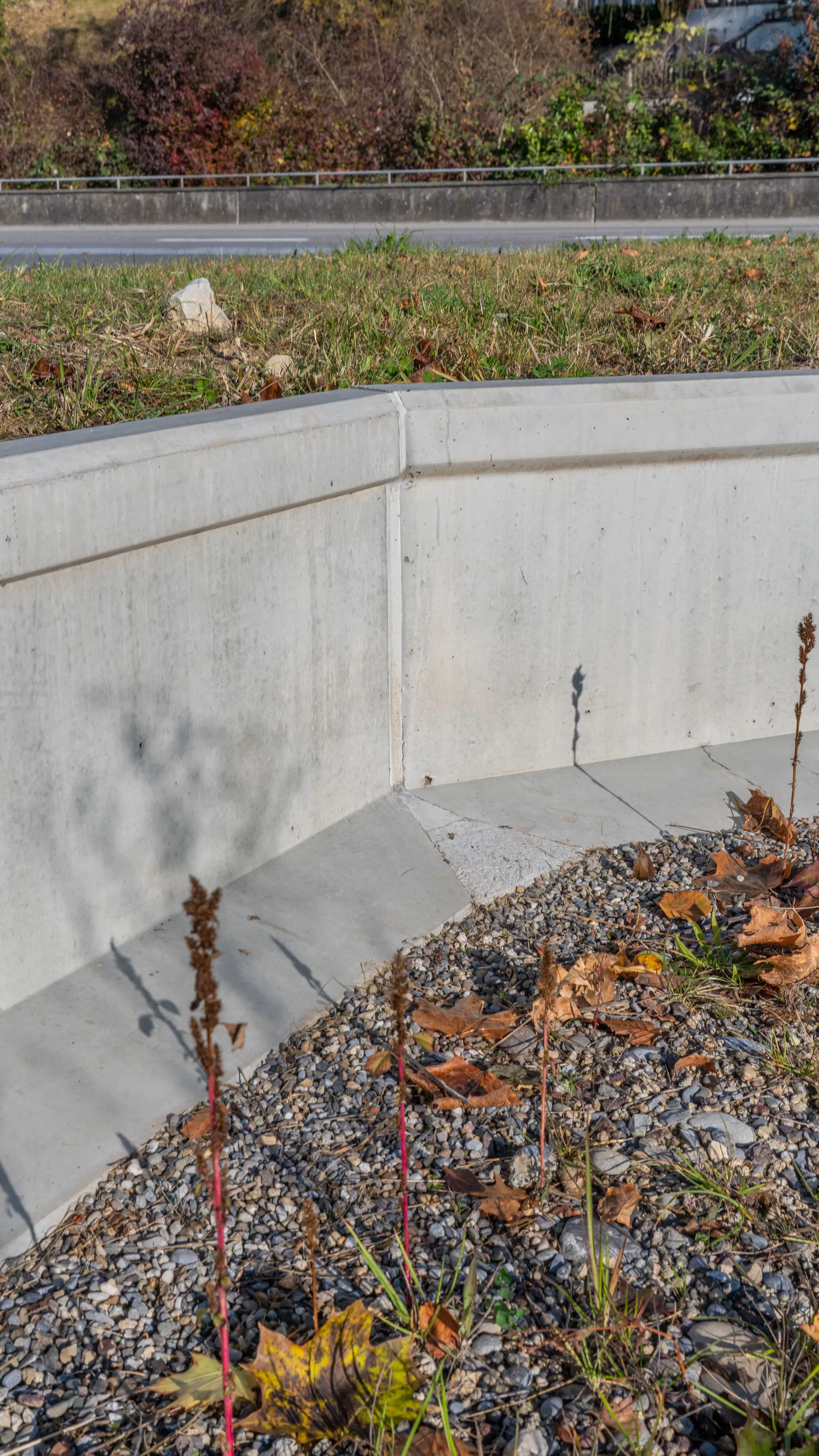 Amphibienleitsystemelement mit Klettersperre und Elementverbund bewehrt gefast grau L 300 cm B 50 cm H 55 cm W 8 cm