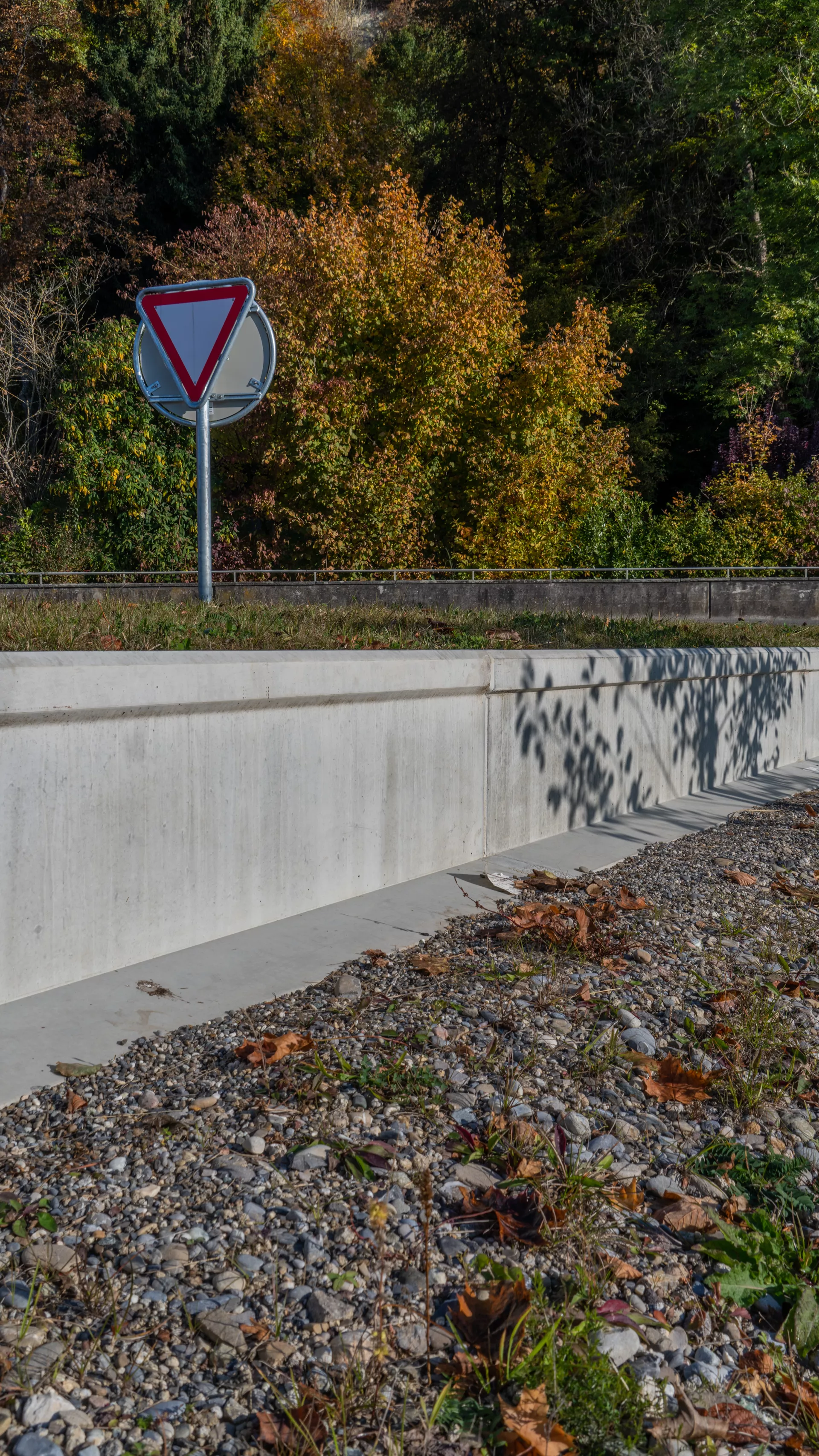 Amphibienleitsystemelement mit Klettersperre und Elementverbund bewehrt gefast grau L 300 cm B 50 cm H 55 cm W 8 cm