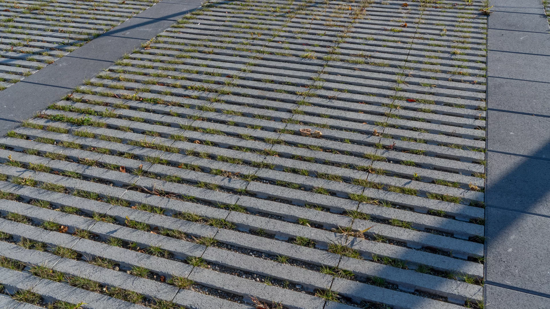 RAINA Rasenliner mit Verschiebesicherung grau glatt L 60 cm B 40 cm H 10 cm