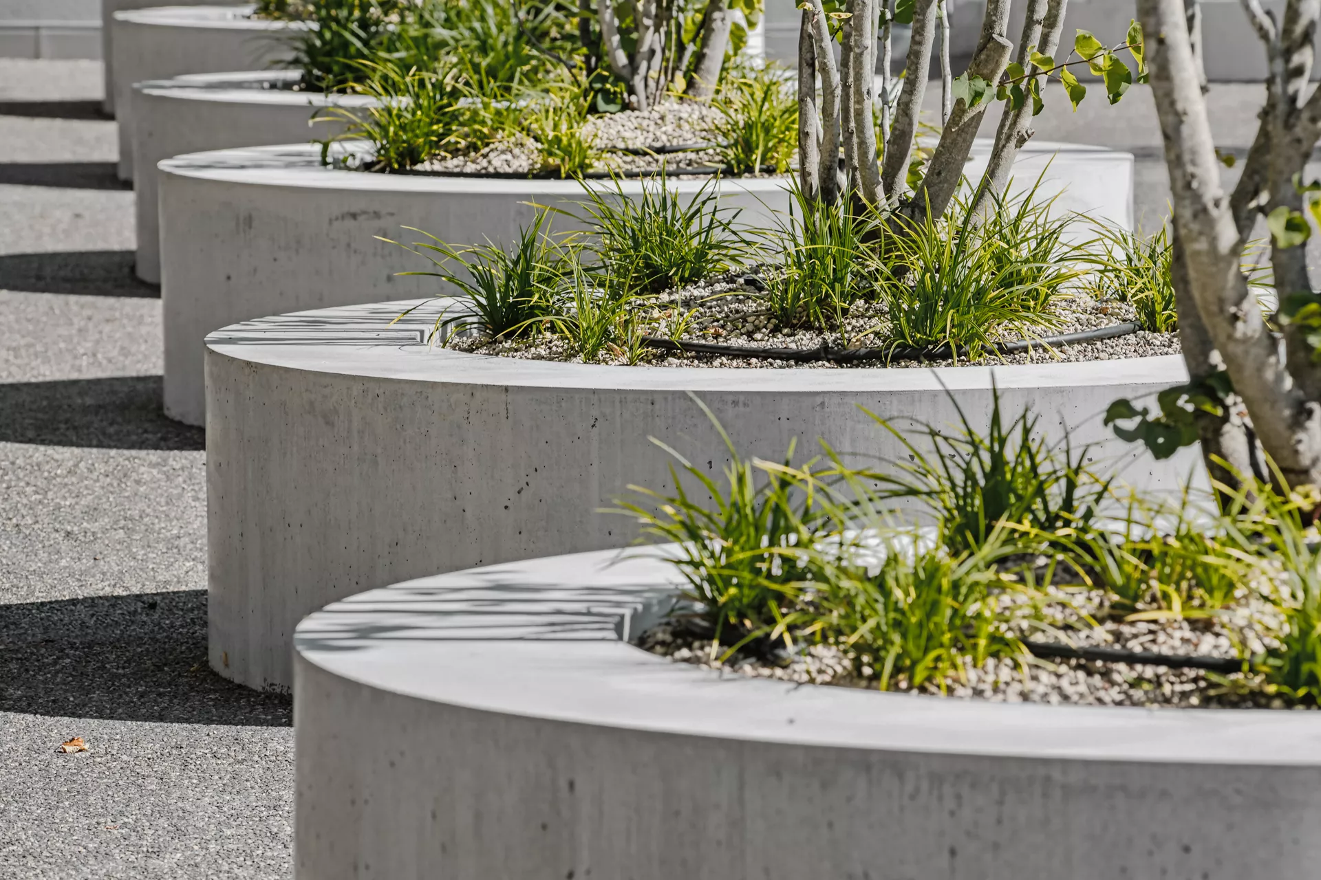 ARBOSO Sitzbankelement rund grau glatt vollkantig ohne Boden D 224 cm H 60 cm