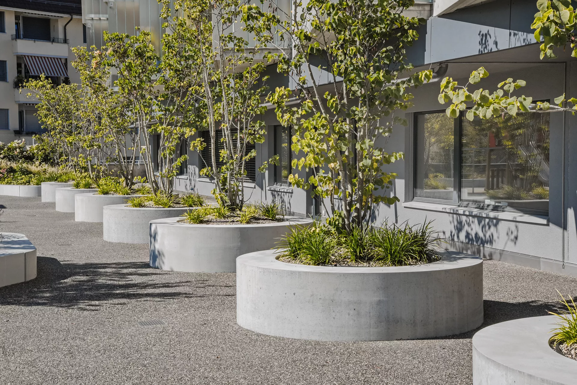 ARBOSO Sitzbankelement rund grau glatt vollkantig ohne Boden D 224 cm H 60 cm