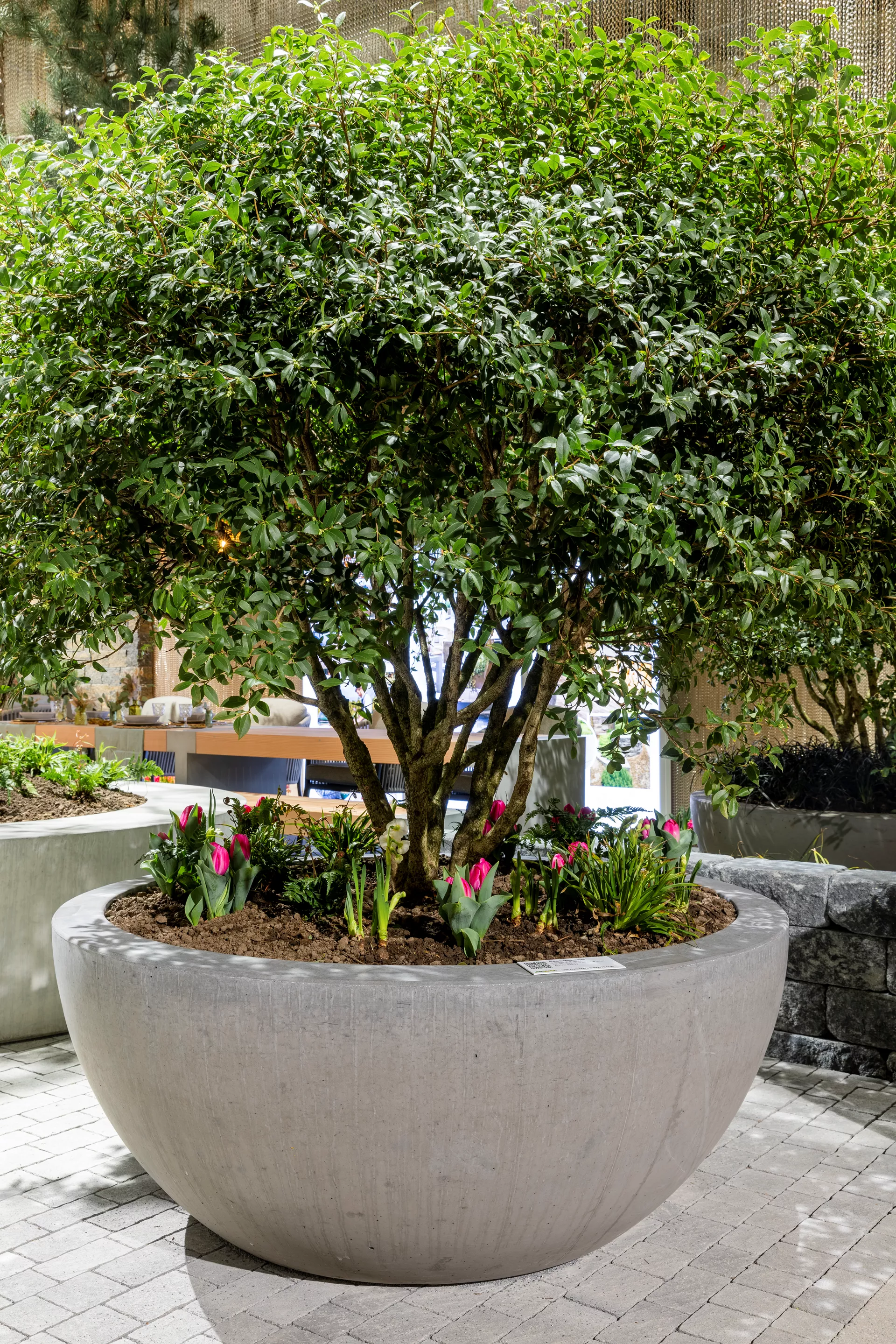 RONDO Pflanzenschale grau gestrahlt gefast OD 90 - 150 cm, H 60 cm W 10 cm