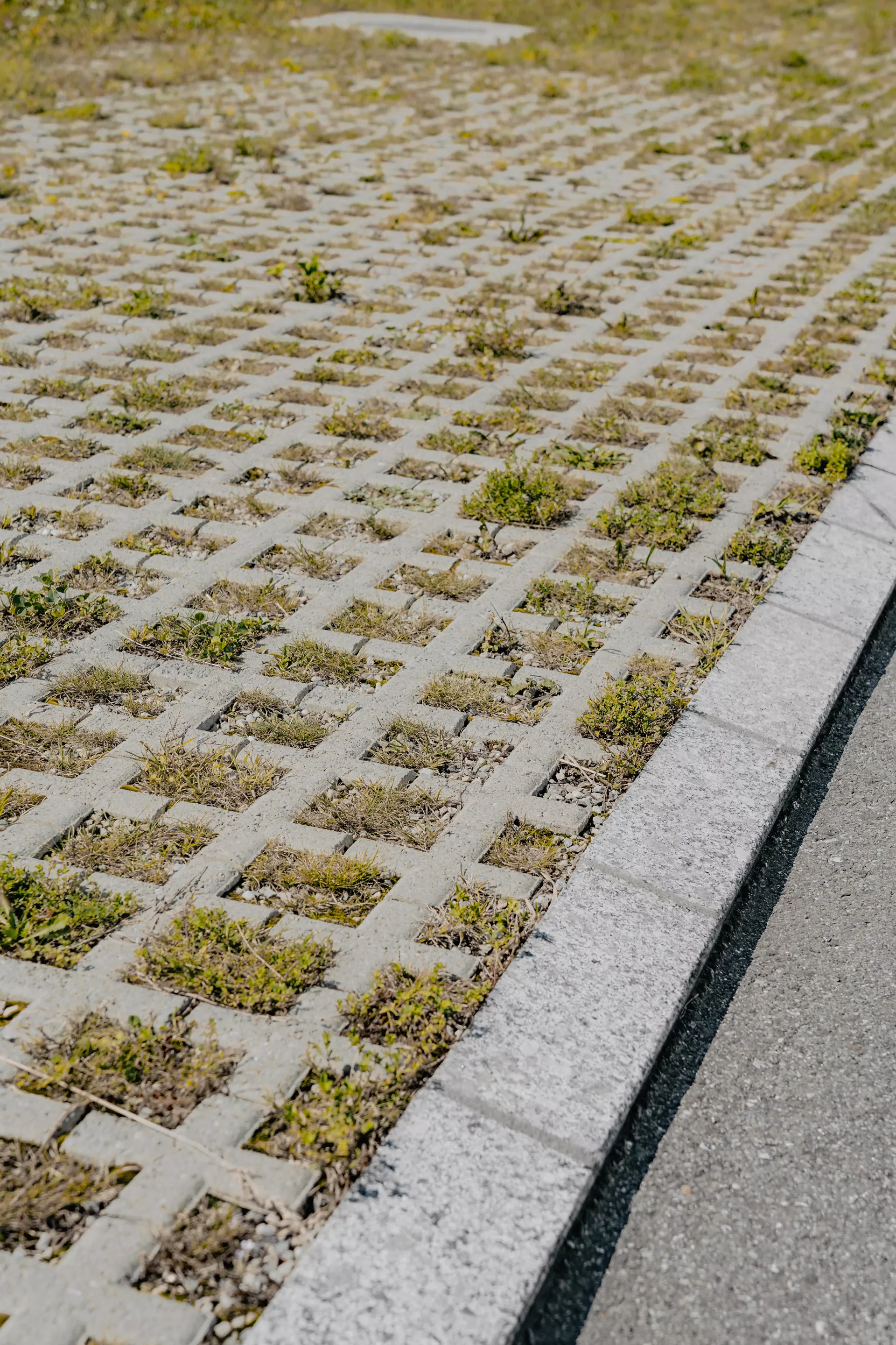 QUADRO Rasengitterstein grau L 58 cm B 47 cm H 10 cm