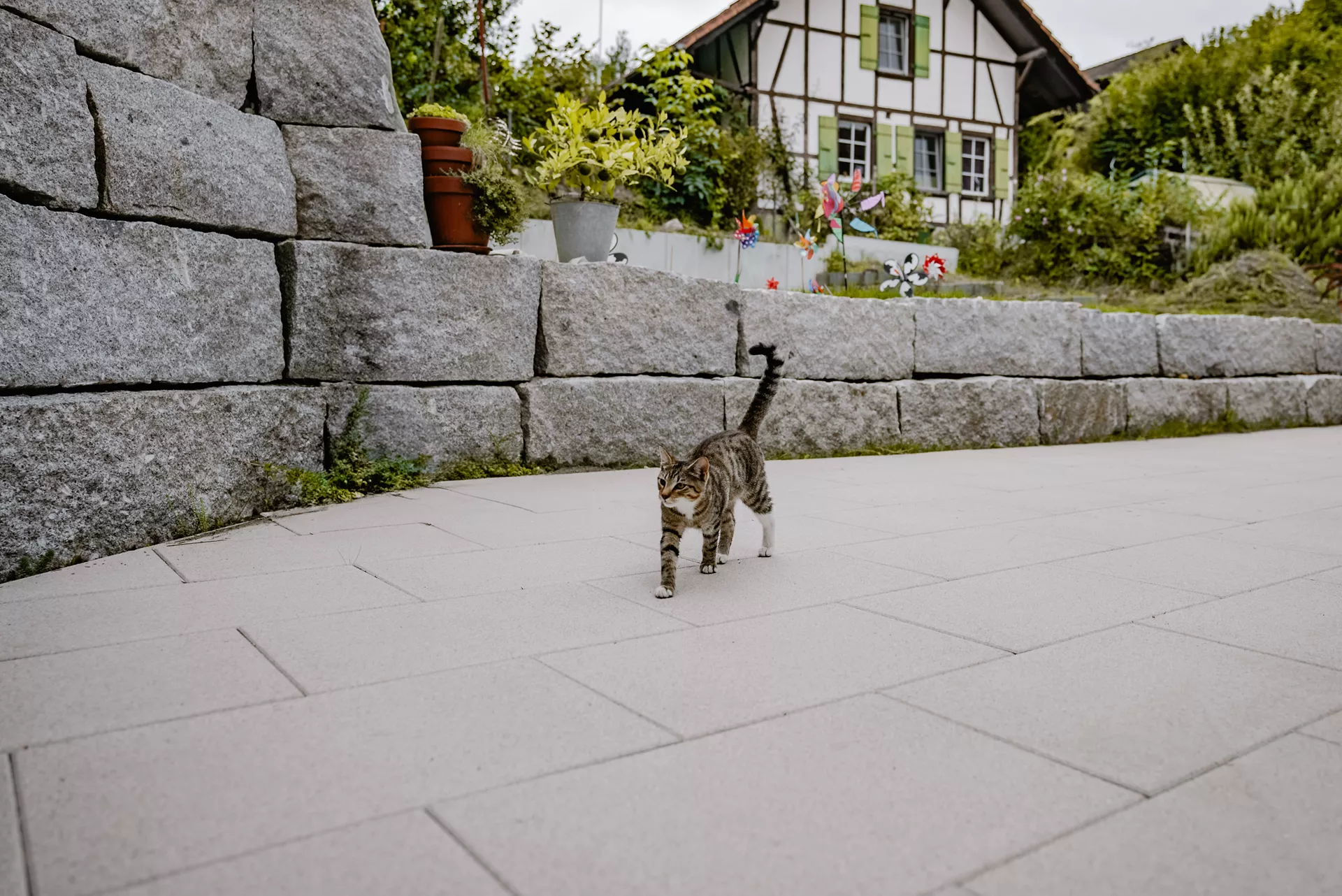 GLORIA Gehwegplatte SILVER gestrahlt gefast L 60 cm B 40 cm H 4 cm