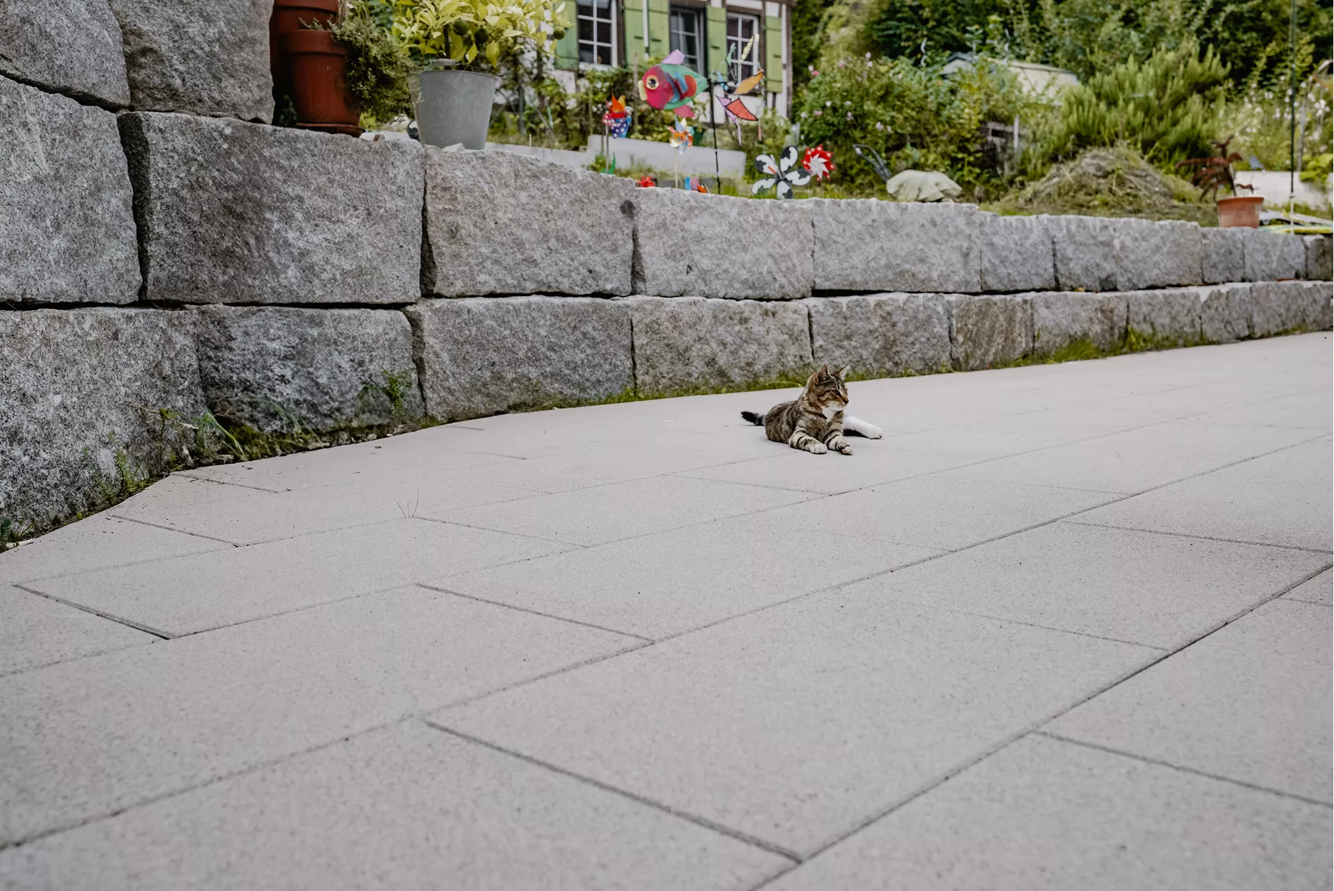 GLORIA Gehwegplatte SILVER gestrahlt gefast L 60 cm B 40 cm H 4 cm