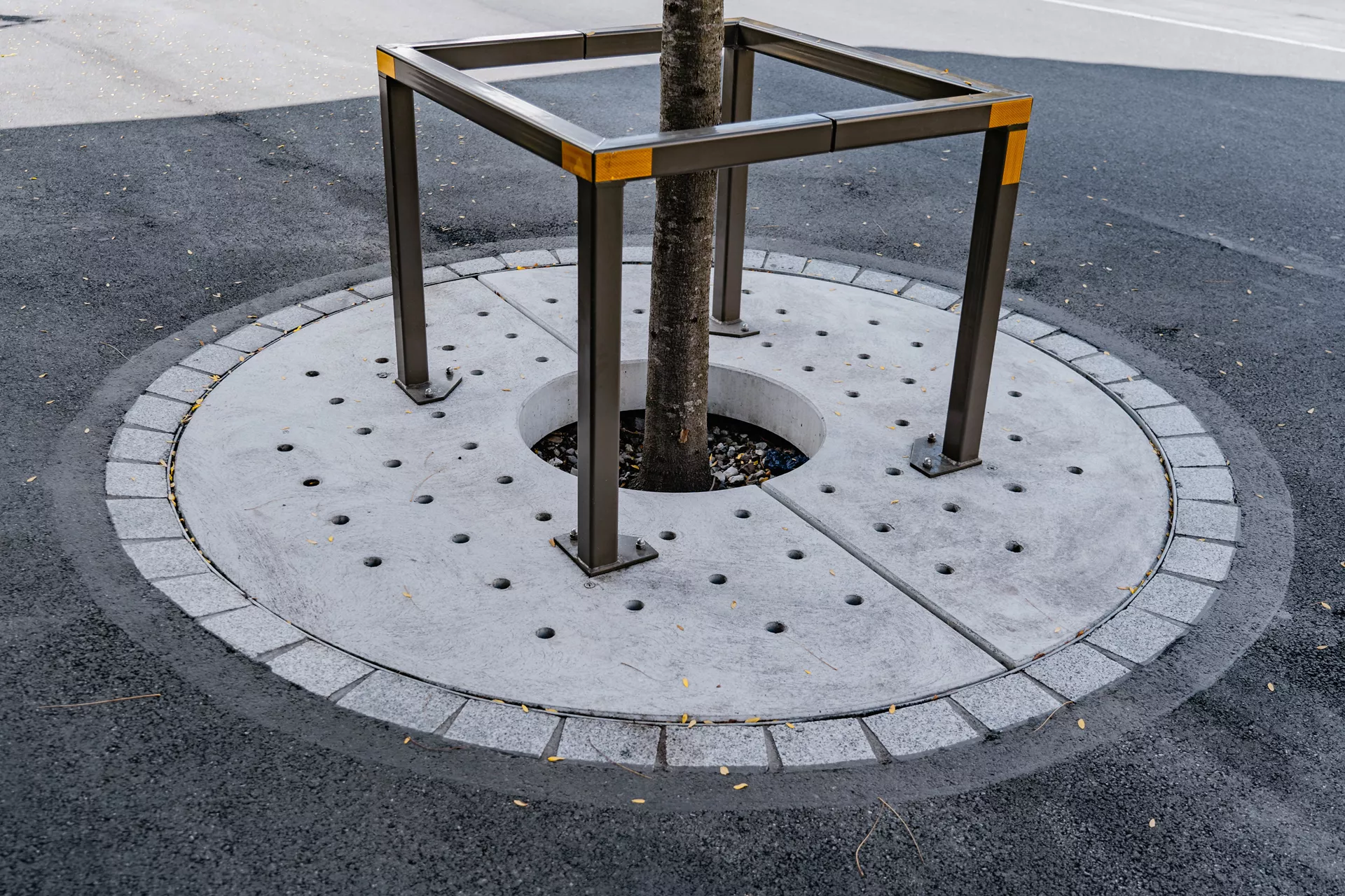 TREETUB Betondeckel 2-teilig mit Stammöffnung zentrisch D 220 cm H 12 cm