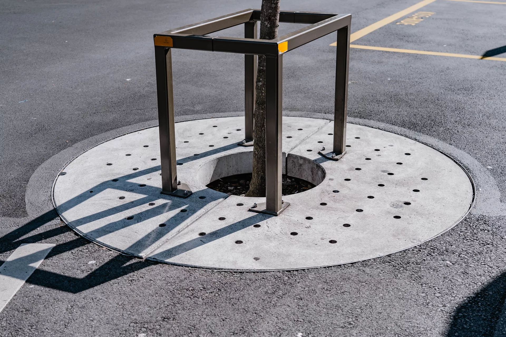 TREETUB Betondeckel 2-teilig mit Stammöffnung zentrisch D 220 cm H 12 cm