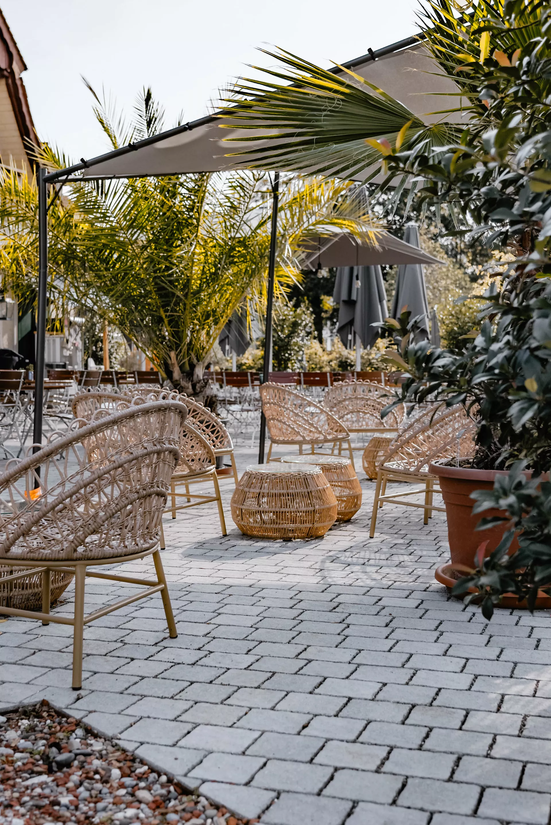 FRIEDA DRAIN Ökostein perlgrau strukturiert Kanten gebrochen L 13.8-16.8 cm B 15.1 cm H 7 cm