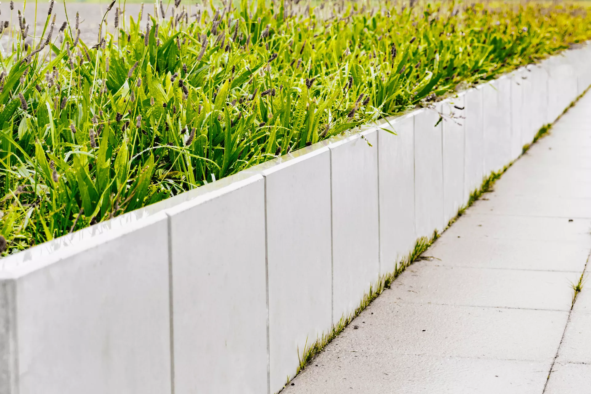 EXACTA Winkelplatte Typ 1 grau glatt gefast bewehrt L 49 cm B 30 cm H 55 cm W 12 cm