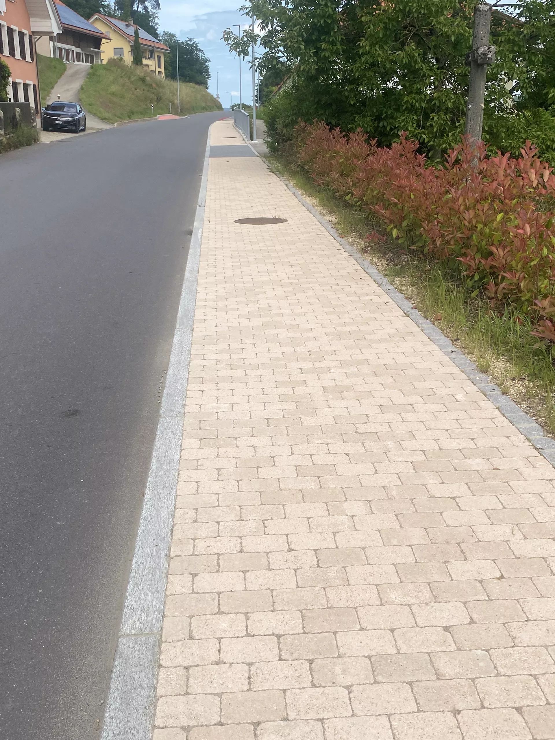 TEGULA Pflasterstein solea glatt Kanten gebrochen L 16 cm B 11 cm H 6 cm