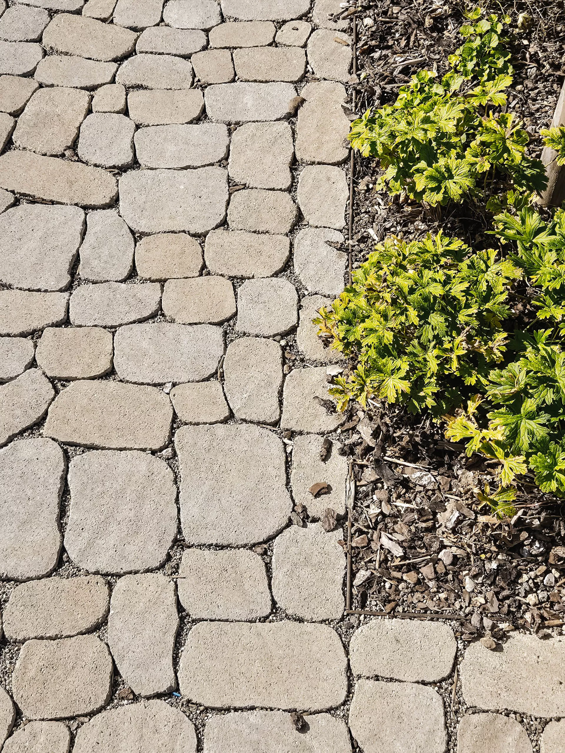 ARENA VISTA Pflasterstein jurakalk strukturiert Kanten gebr. L 6.5 - 21.9 cm B 8.6 - 12.2 cm H 7 cm