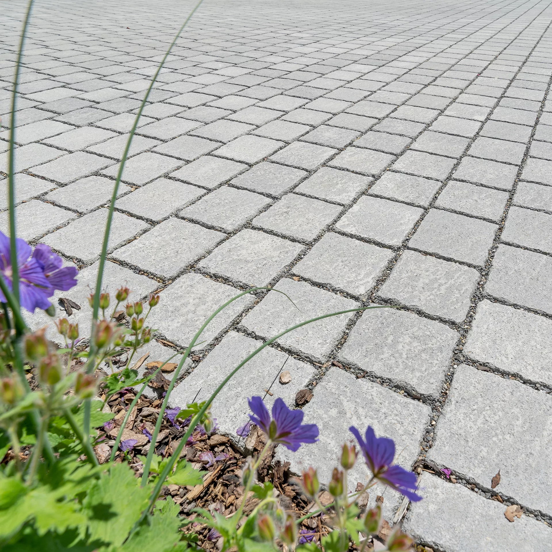 FRIEDA<sup>®</sup> DRAIN Ökosteine Kanten gebrochen