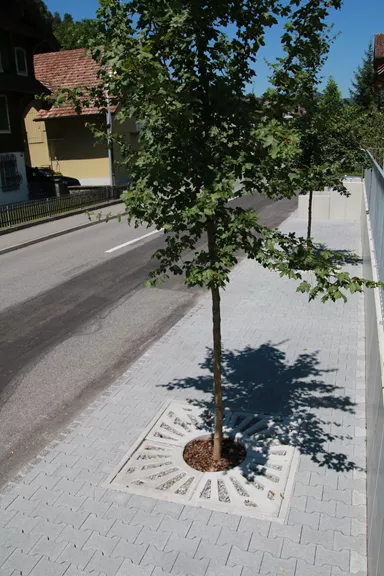 COMO Baumscheibe grau glatt gefast bewehrt geschlitzt mit Aussparung R 28 cm L 62.5 cm B 62.5 cm H 8 cm BK A 15