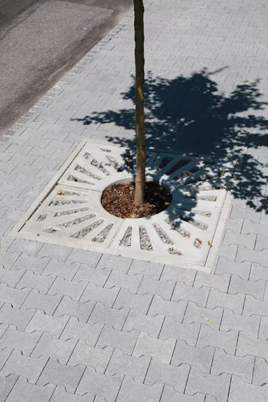 COMO Baumscheibe grau glatt gefast bewehrt geschlitzt mit Aussparung R 28 cm L 62.5 cm B 62.5 cm H 8 cm BK A 15