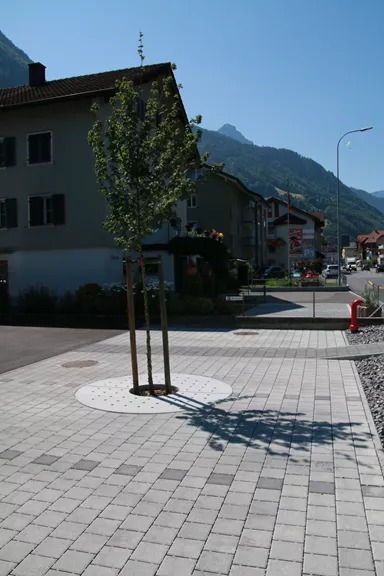 TREETUB Betondeckel 2-teilig mit Stammöffnung zentrisch D 220 cm H 12 cm