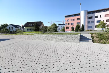 TEGULA SPLITT Ökostein mit Nocken Normalstein grau Kanten gebrochen L 23.2 cm B 17.2 cm H 7 cm