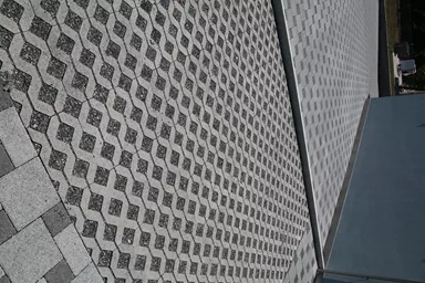 GRISON Rasengitterstein mit Nocken grau glatt L 60.2 cm B 40.2 cm H 8 cm